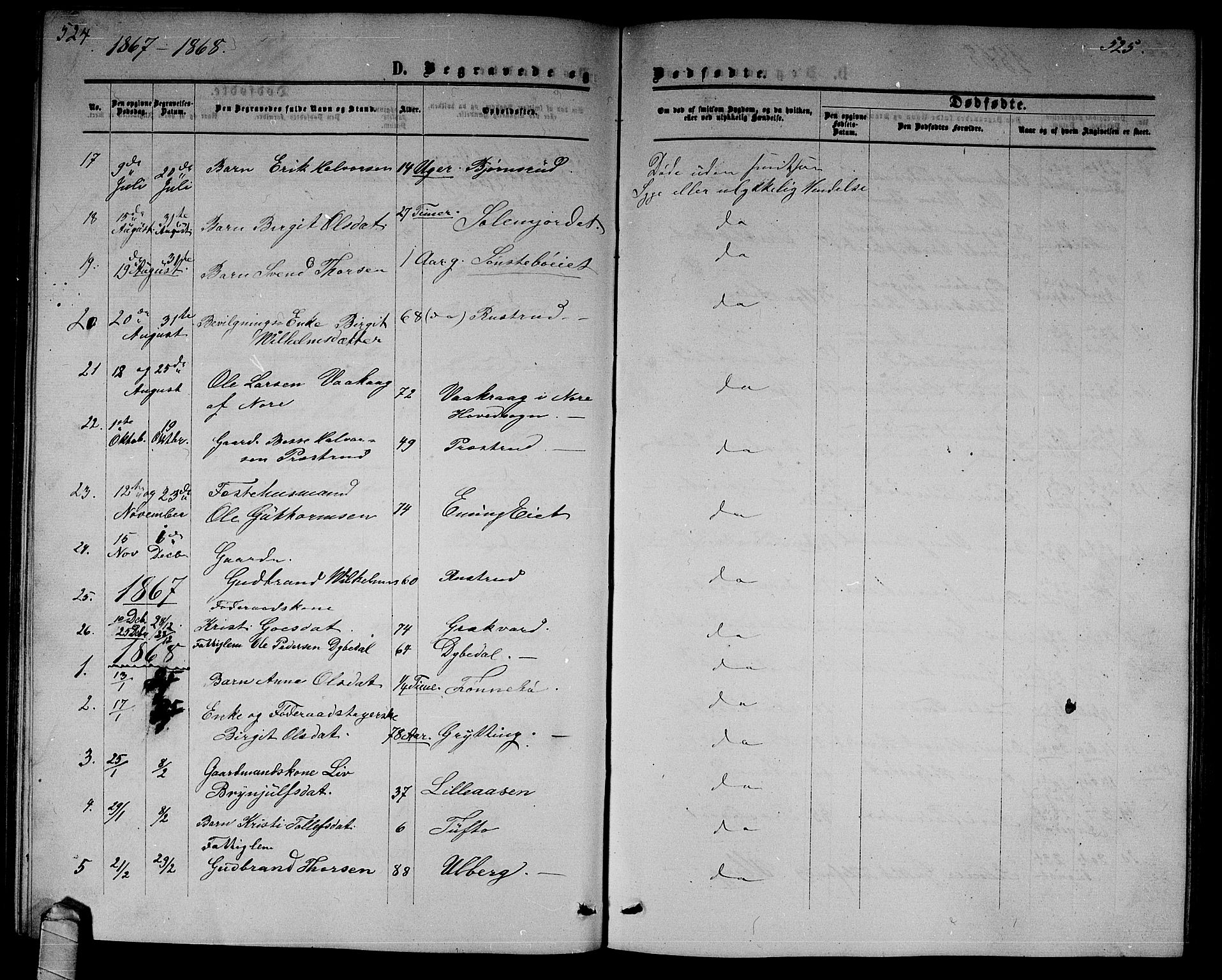 Nore kirkebøker, SAKO/A-238/G/Gb/L0001: Parish register (copy) no. II 1, 1862-1877, p. 524-525