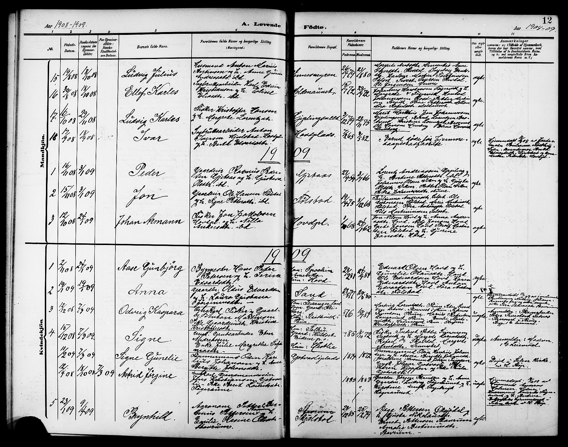 Ministerialprotokoller, klokkerbøker og fødselsregistre - Nord-Trøndelag, AV/SAT-A-1458/744/L0424: Parish register (copy) no. 744C03, 1906-1923, p. 12