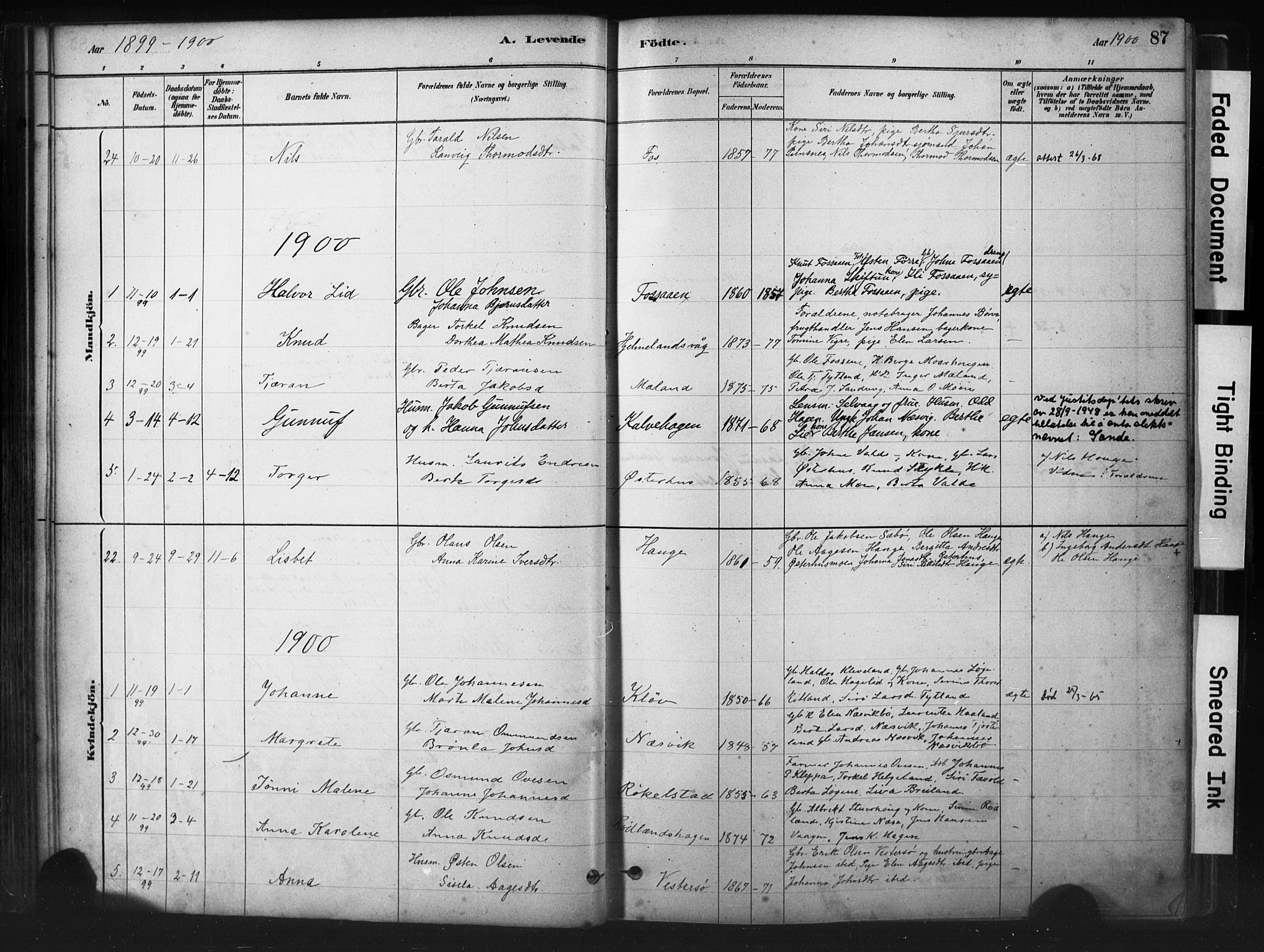Hjelmeland sokneprestkontor, AV/SAST-A-101843/01/IV/L0014: Parish register (official) no. A 14, 1879-1900, p. 87