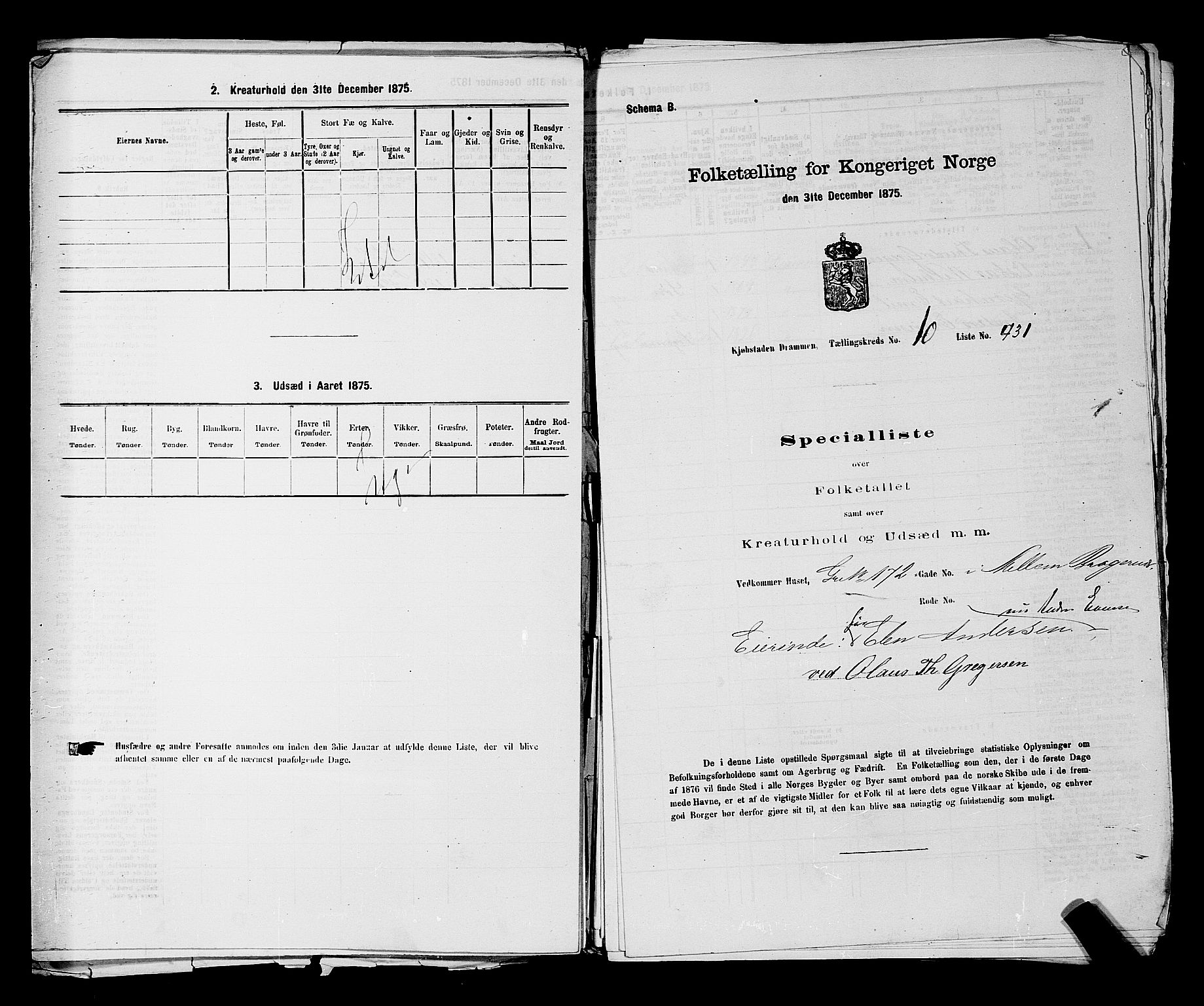 SAKO, 1875 census for 0602 Drammen, 1875, p. 982