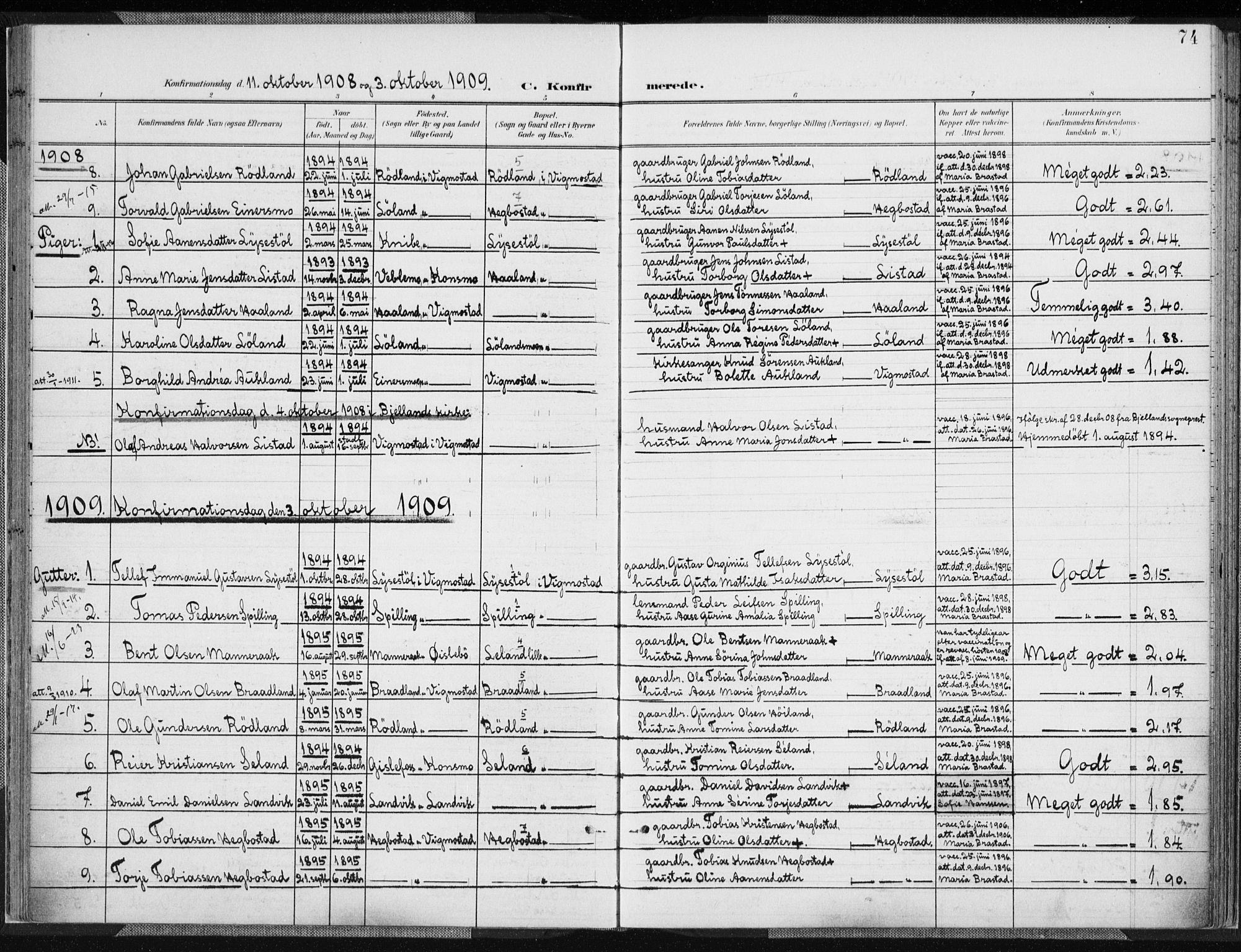 Nord-Audnedal sokneprestkontor, SAK/1111-0032/F/Fa/Fab/L0004: Parish register (official) no. A 4, 1901-1917, p. 74