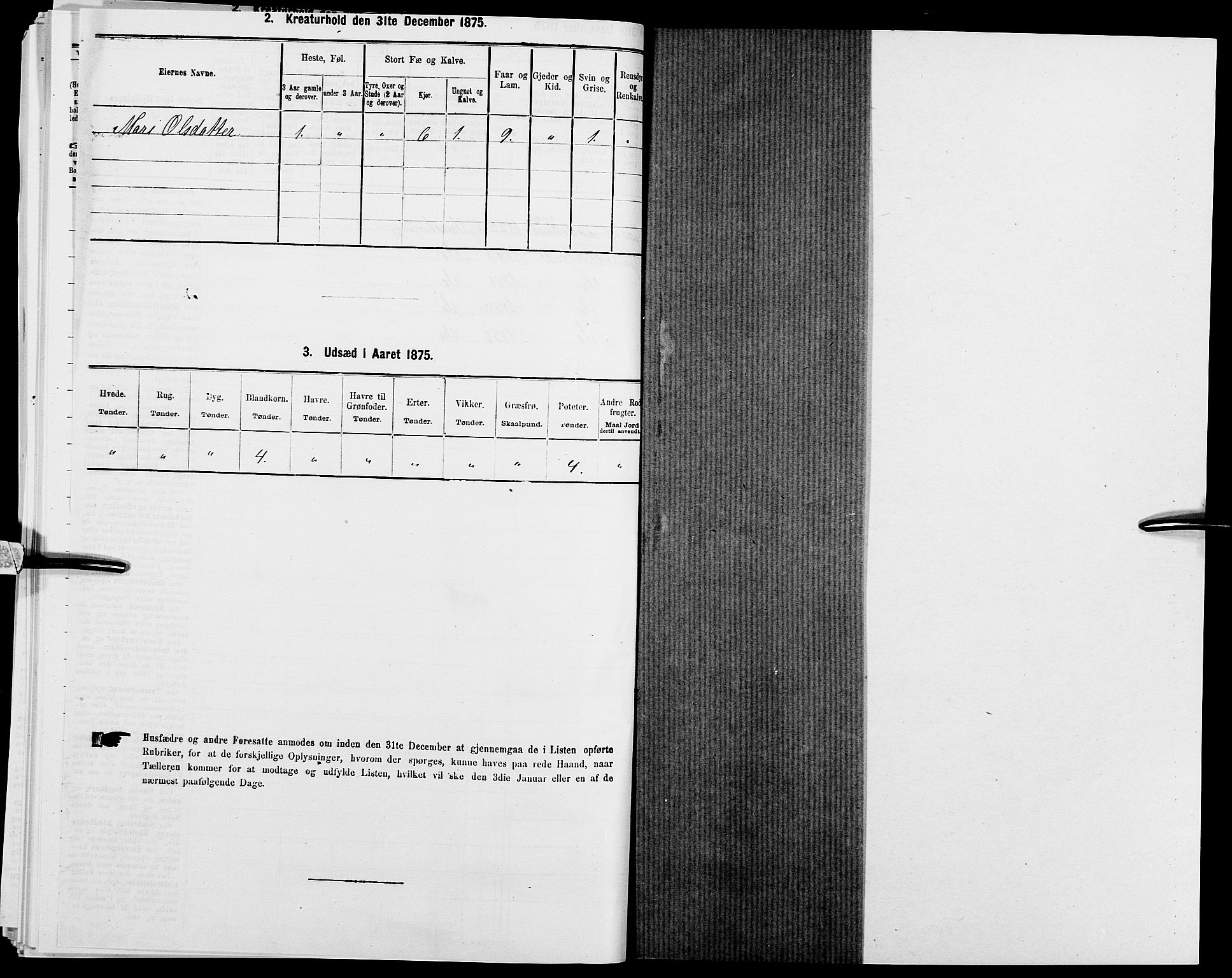 SAK, 1875 census for 1024P Bjelland, 1875, p. 389