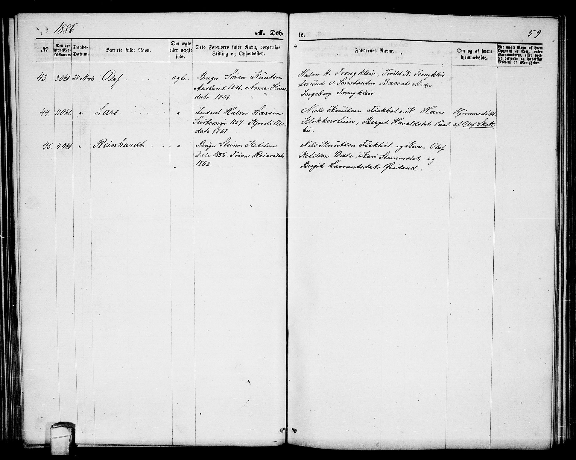 Seljord kirkebøker, AV/SAKO-A-20/G/Ga/L0004: Parish register (copy) no. I 4, 1873-1886, p. 59