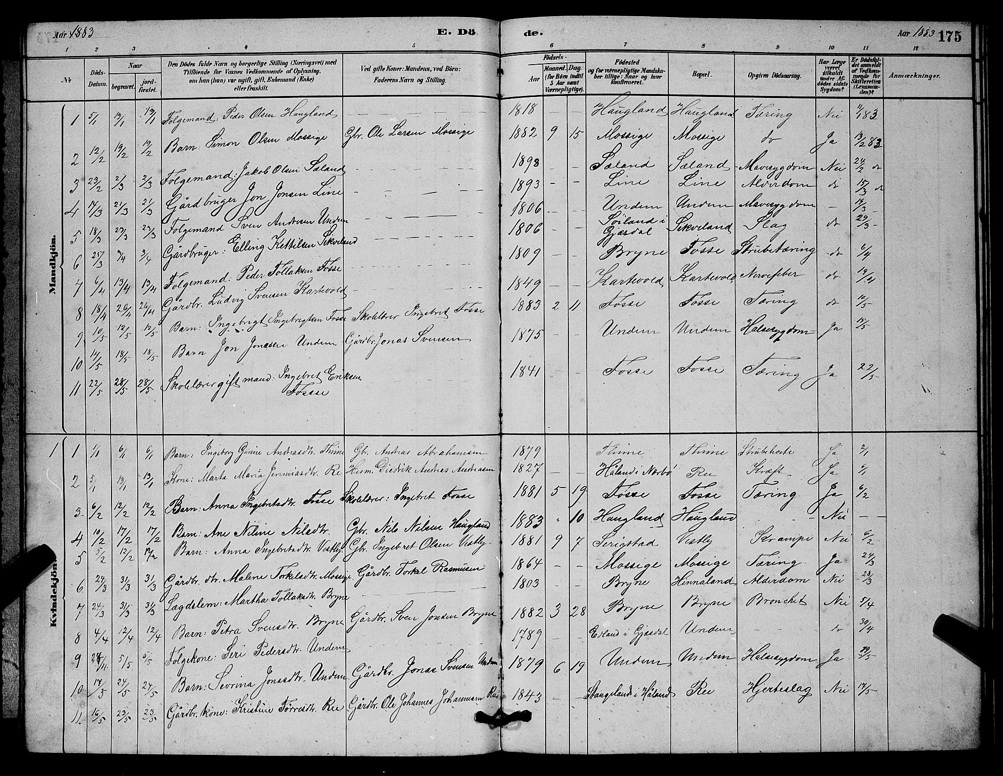 Lye sokneprestkontor, AV/SAST-A-101794/001/30BB/L0006: Parish register (copy) no. B 6, 1879-1888, p. 175