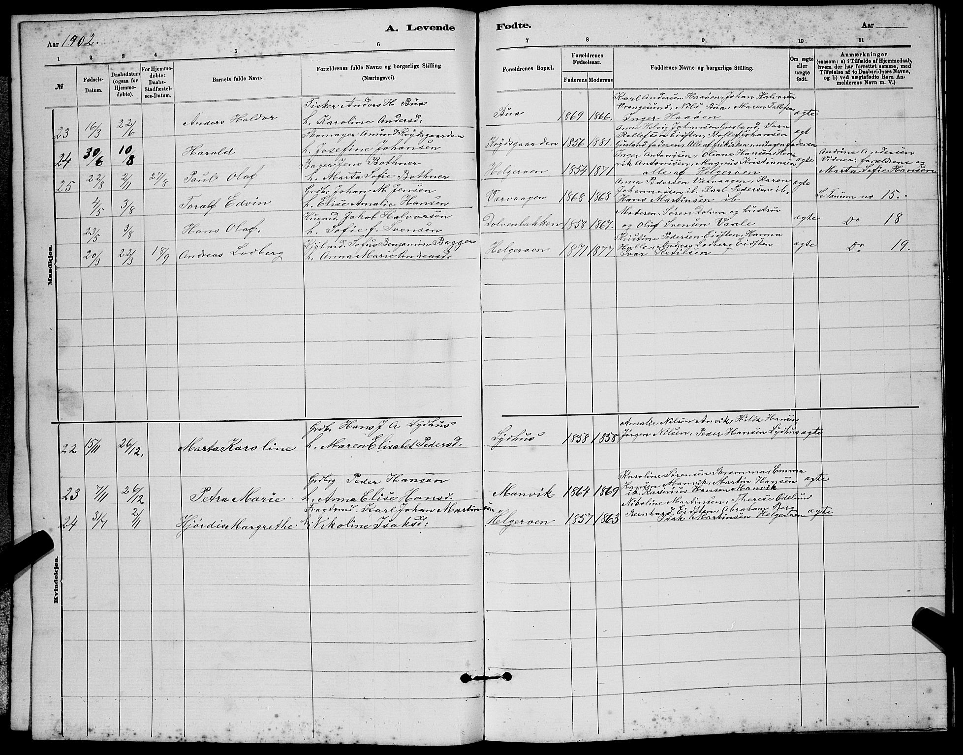 Brunlanes kirkebøker, SAKO/A-342/G/Gb/L0002: Parish register (copy) no. II 2, 1878-1902