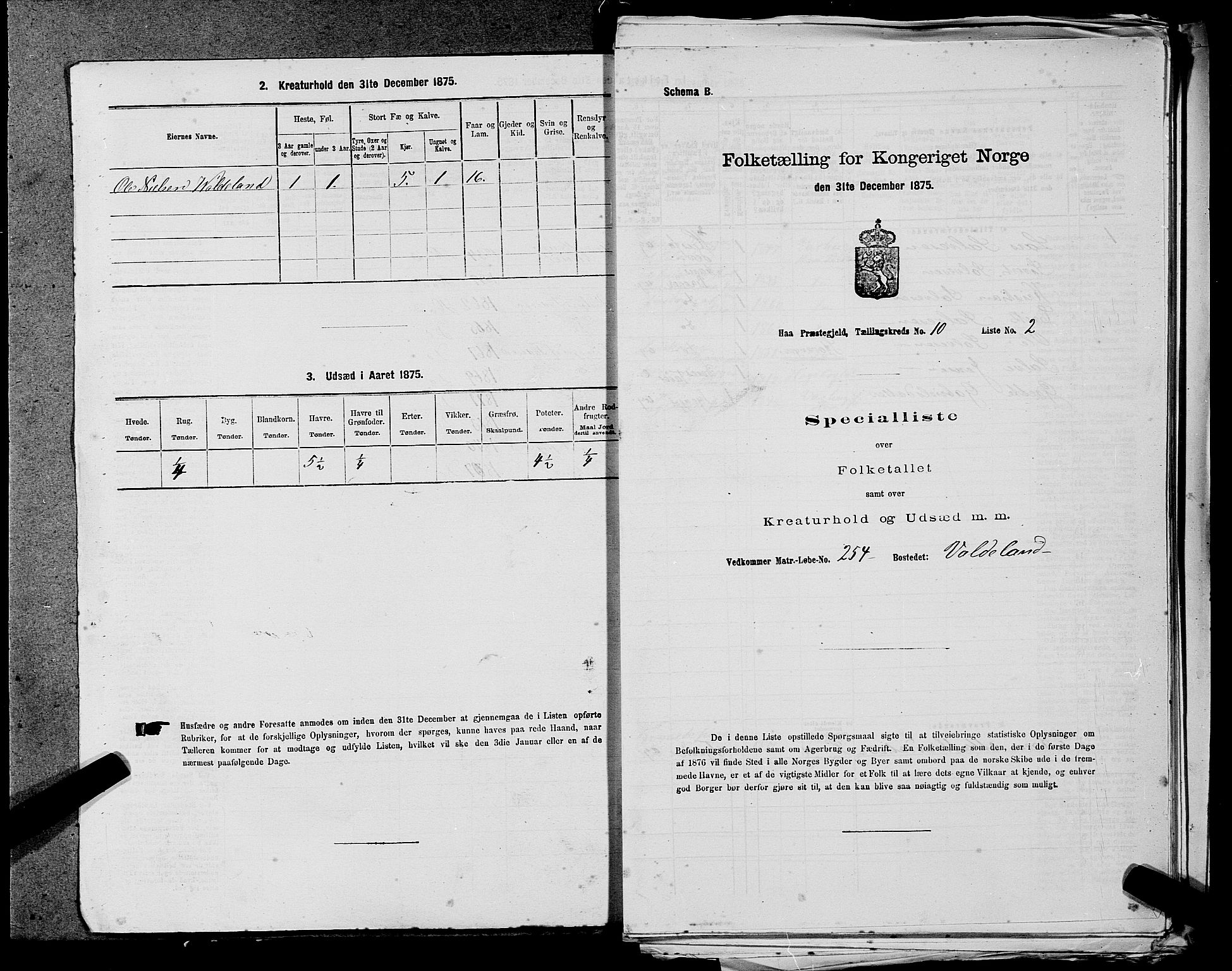 SAST, 1875 census for 1119P Hå, 1875, p. 1063