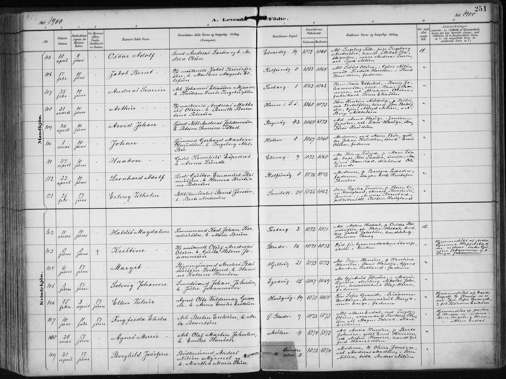 Sandviken Sokneprestembete, AV/SAB-A-77601/H/Ha/L0005: Parish register (official) no. B 2, 1891-1901, p. 251