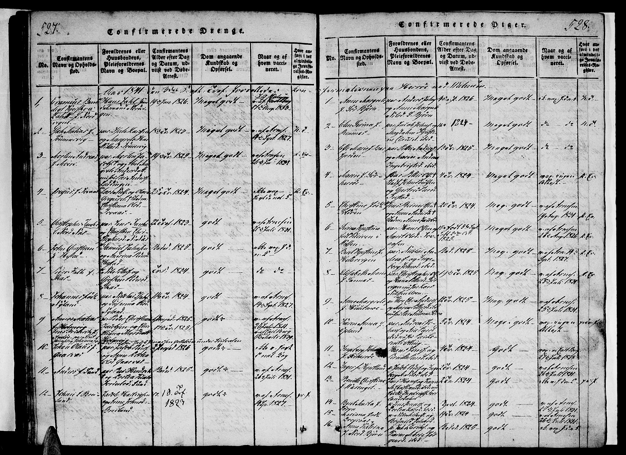 Ministerialprotokoller, klokkerbøker og fødselsregistre - Nordland, AV/SAT-A-1459/834/L0510: Parish register (copy) no. 834C01, 1820-1847, p. 527-528