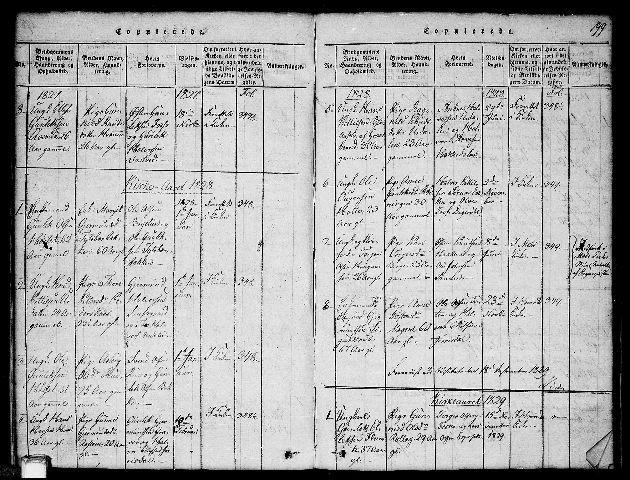 Gransherad kirkebøker, SAKO/A-267/G/Gb/L0001: Parish register (copy) no. II 1, 1815-1860, p. 199