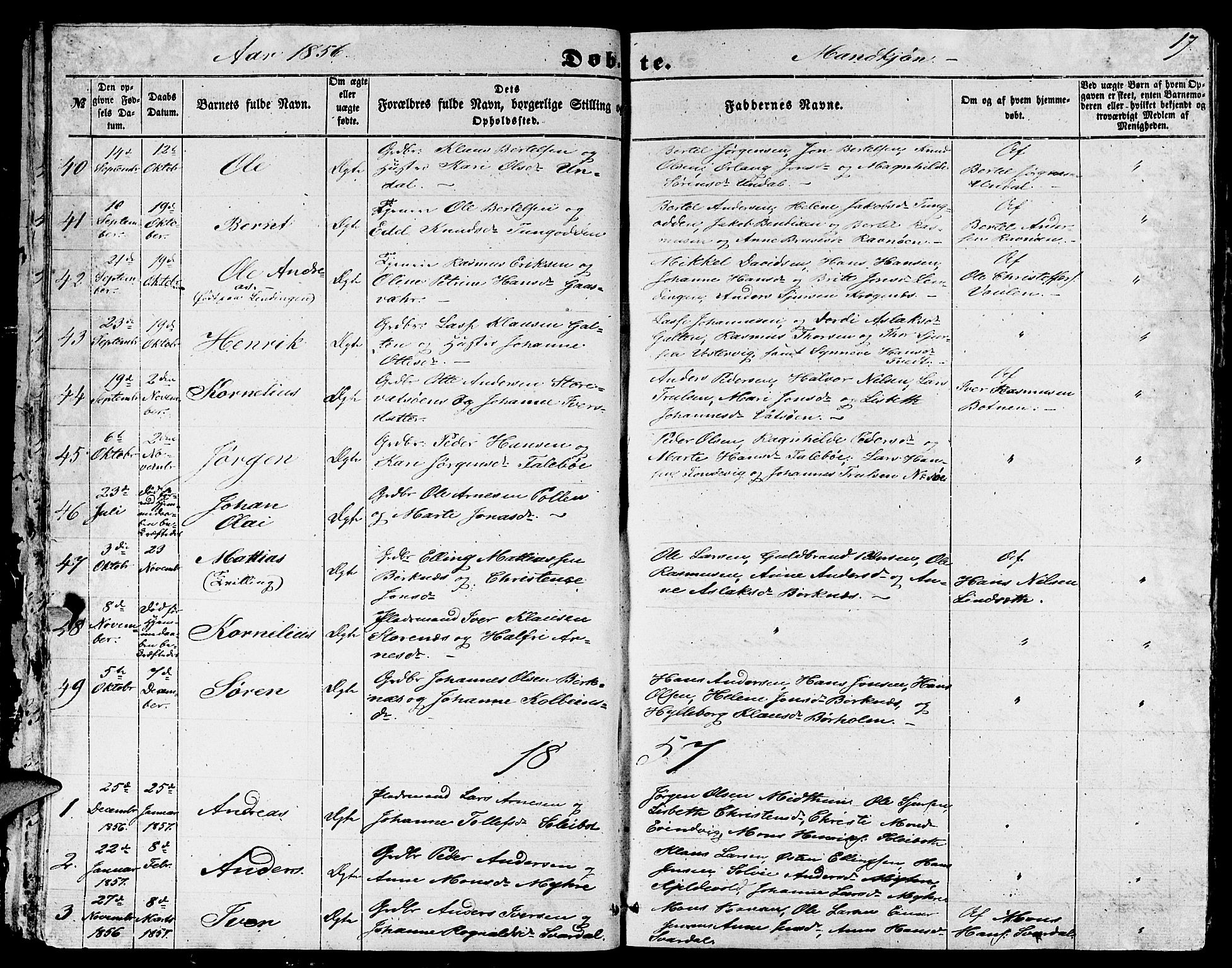 Gulen sokneprestembete, AV/SAB-A-80201/H/Hab/Habb/L0001: Parish register (copy) no. B 1, 1854-1866, p. 17