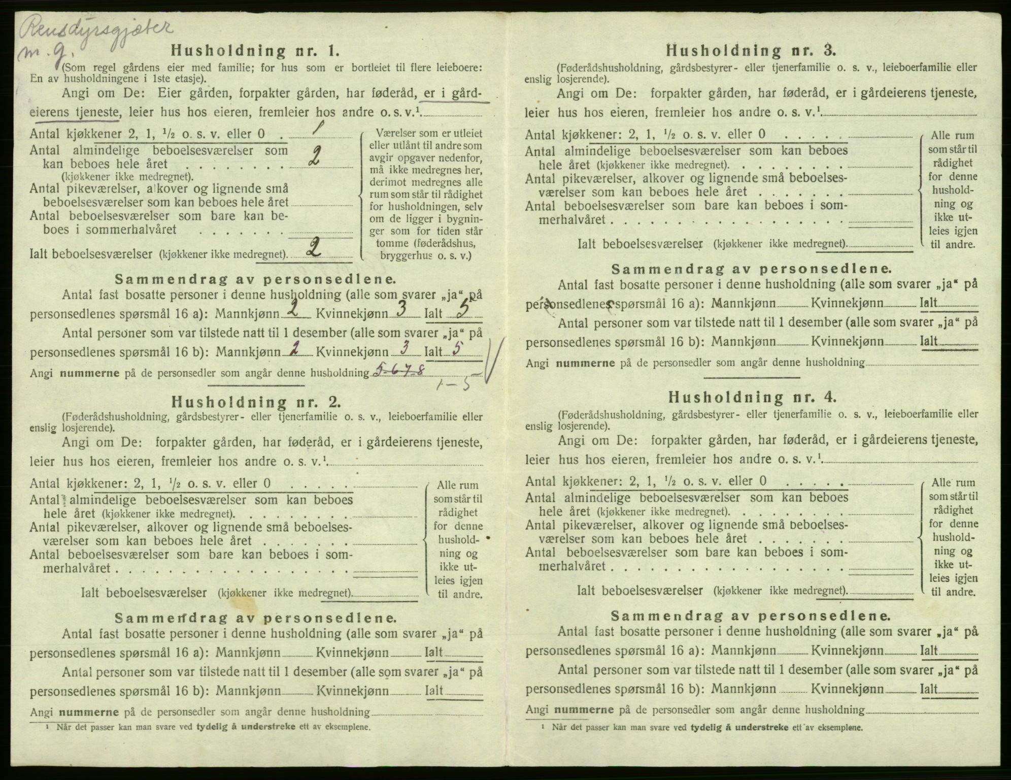 SAB, 1920 census for Eidfjord, 1920, p. 293