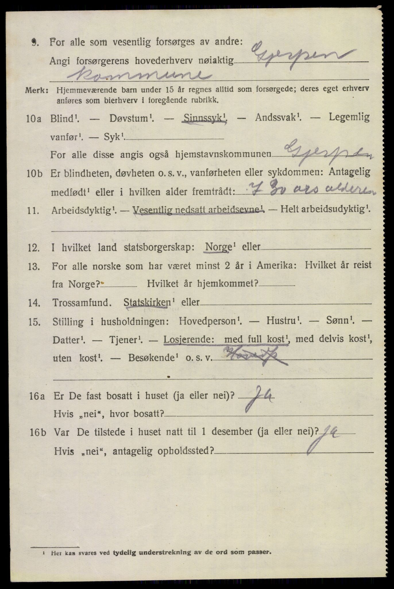 SAKO, 1920 census for Gjerpen, 1920, p. 13217