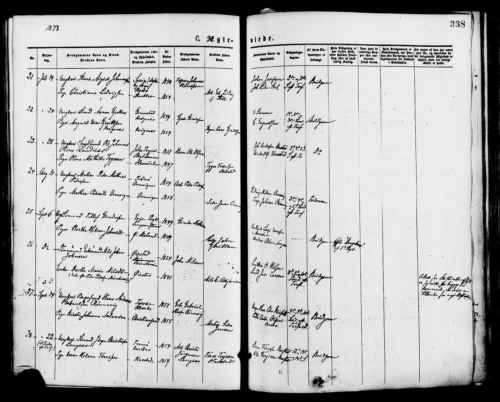 Barbu sokneprestkontor, AV/SAK-1111-0003/F/Fa/L0001: Parish register (official) no. A 1 /1, 1878-1883, p. 338