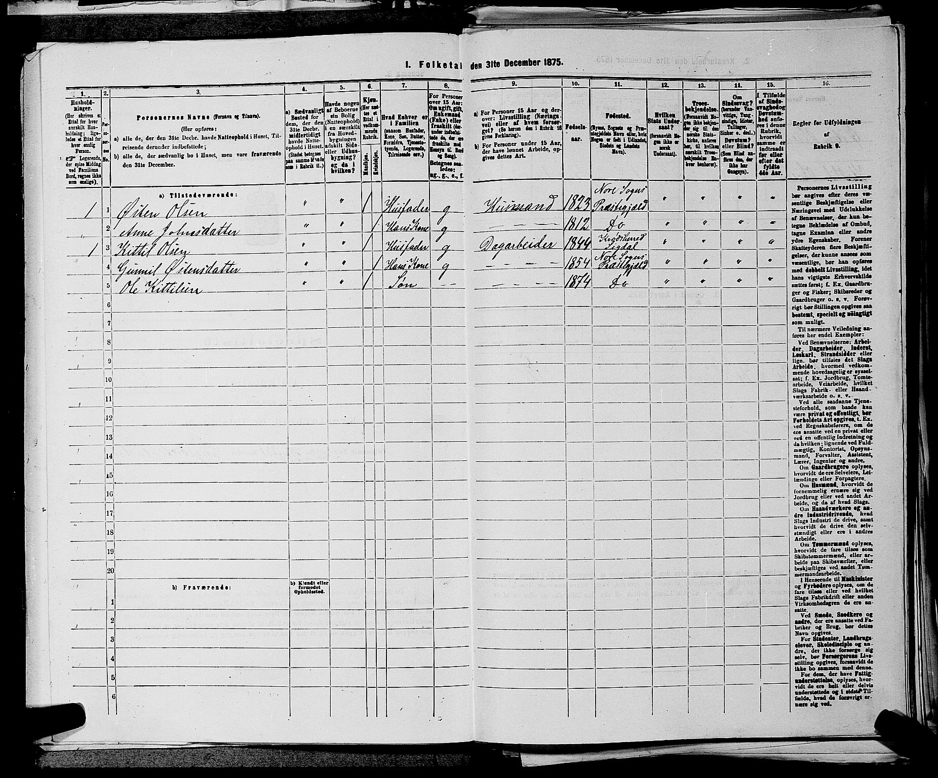 SAKO, 1875 census for 0633P Nore, 1875, p. 1150