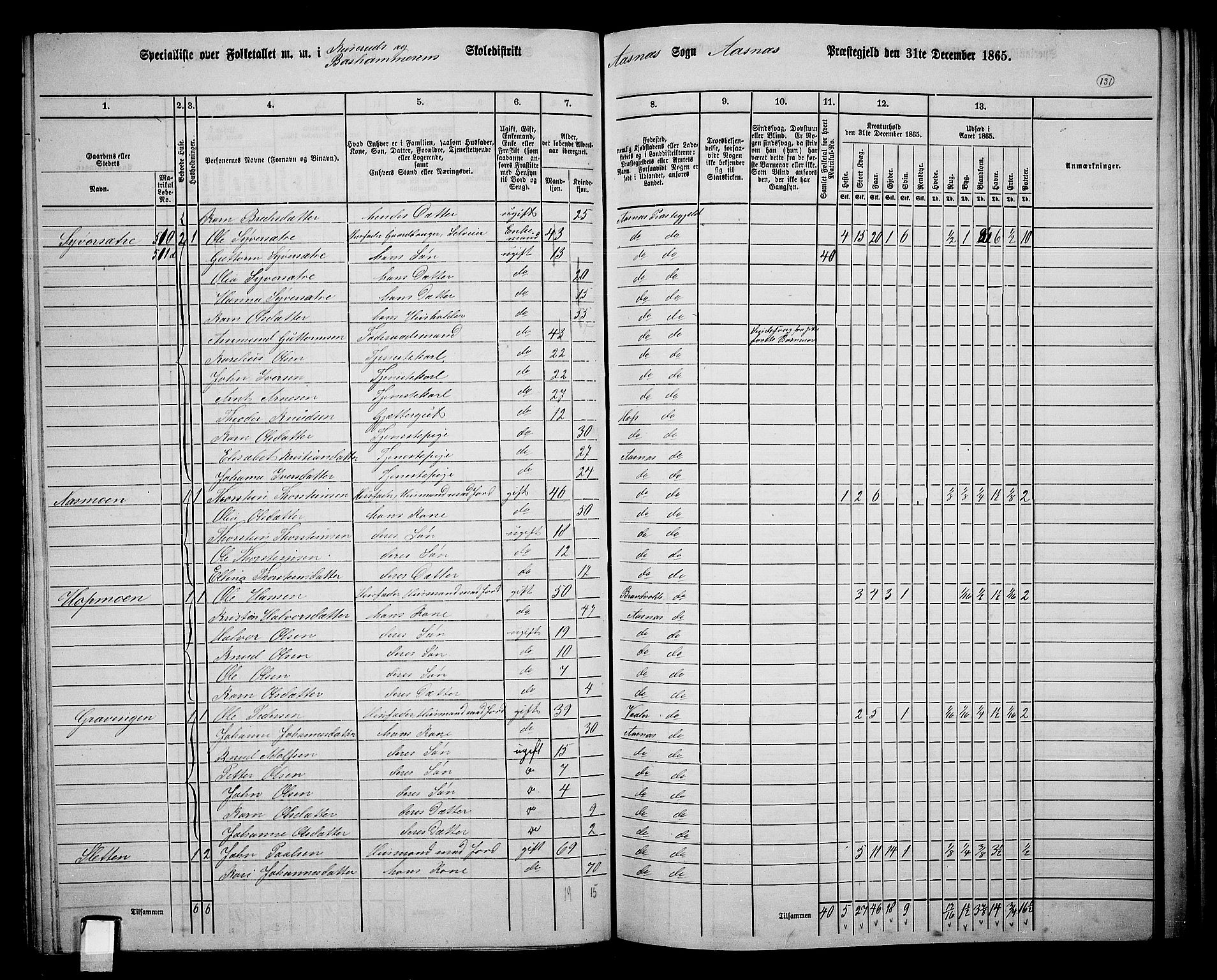 RA, 1865 census for Åsnes, 1865, p. 122