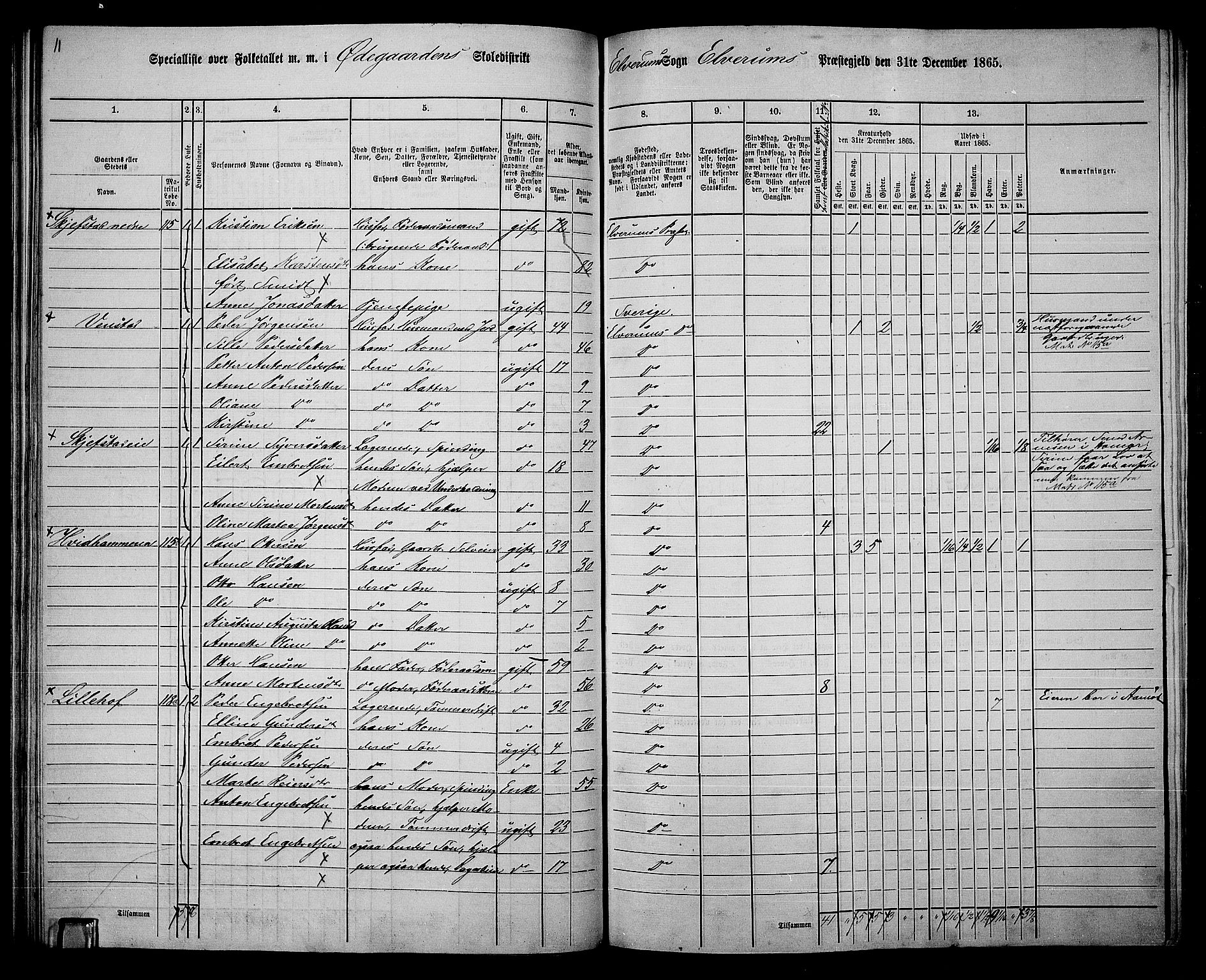 RA, 1865 census for Elverum, 1865, p. 66