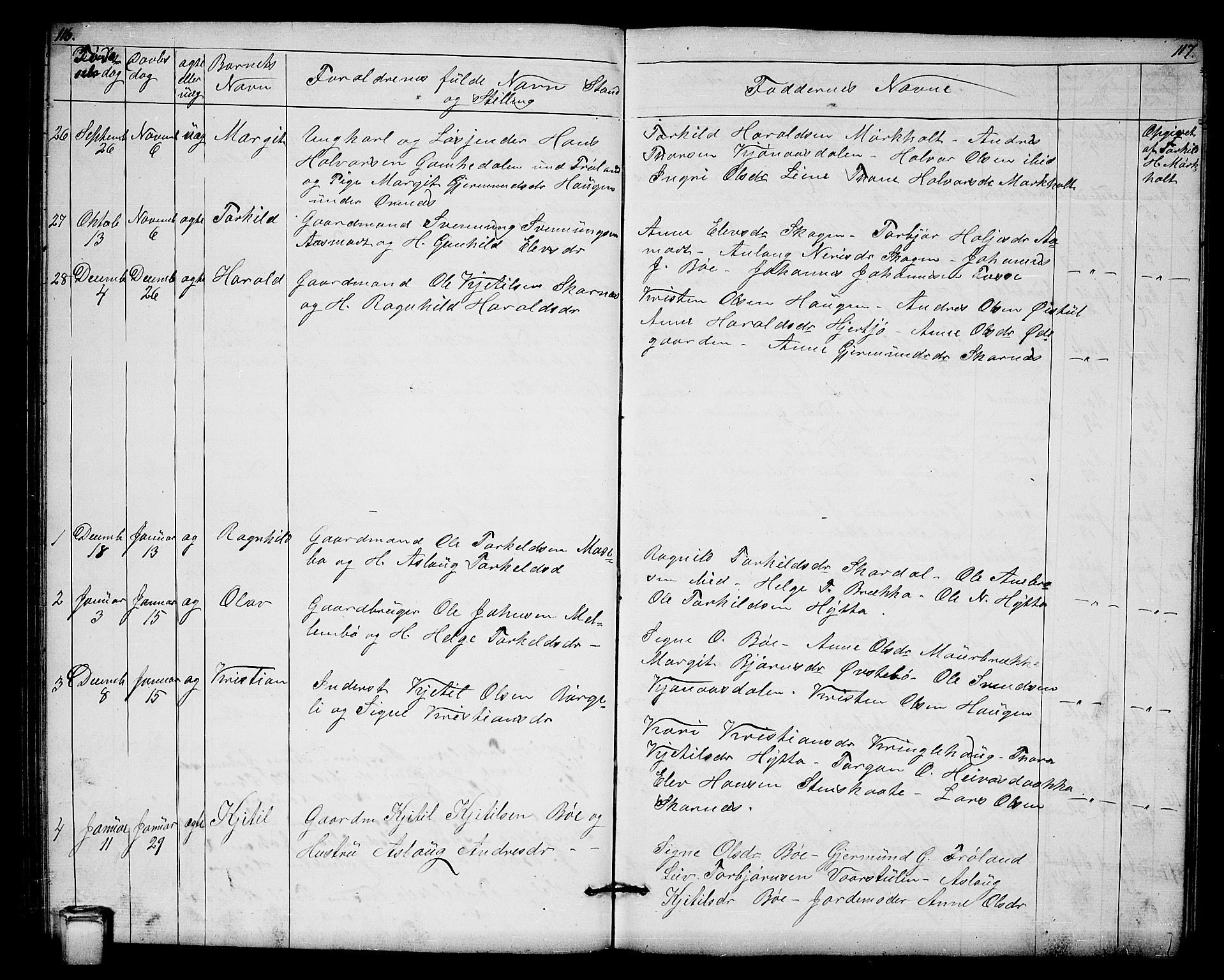 Hjartdal kirkebøker, SAKO/A-270/G/Gb/L0002: Parish register (copy) no. II 2, 1854-1884, p. 116-117