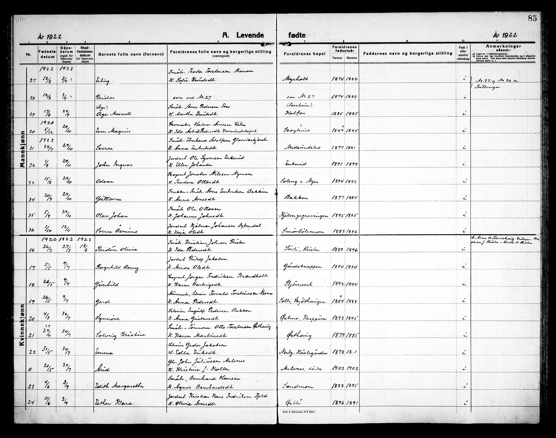 Åsnes prestekontor, AV/SAH-PREST-042/H/Ha/Haa/L0000D: Parish register (official) no. 0B, 1890-1929, p. 85