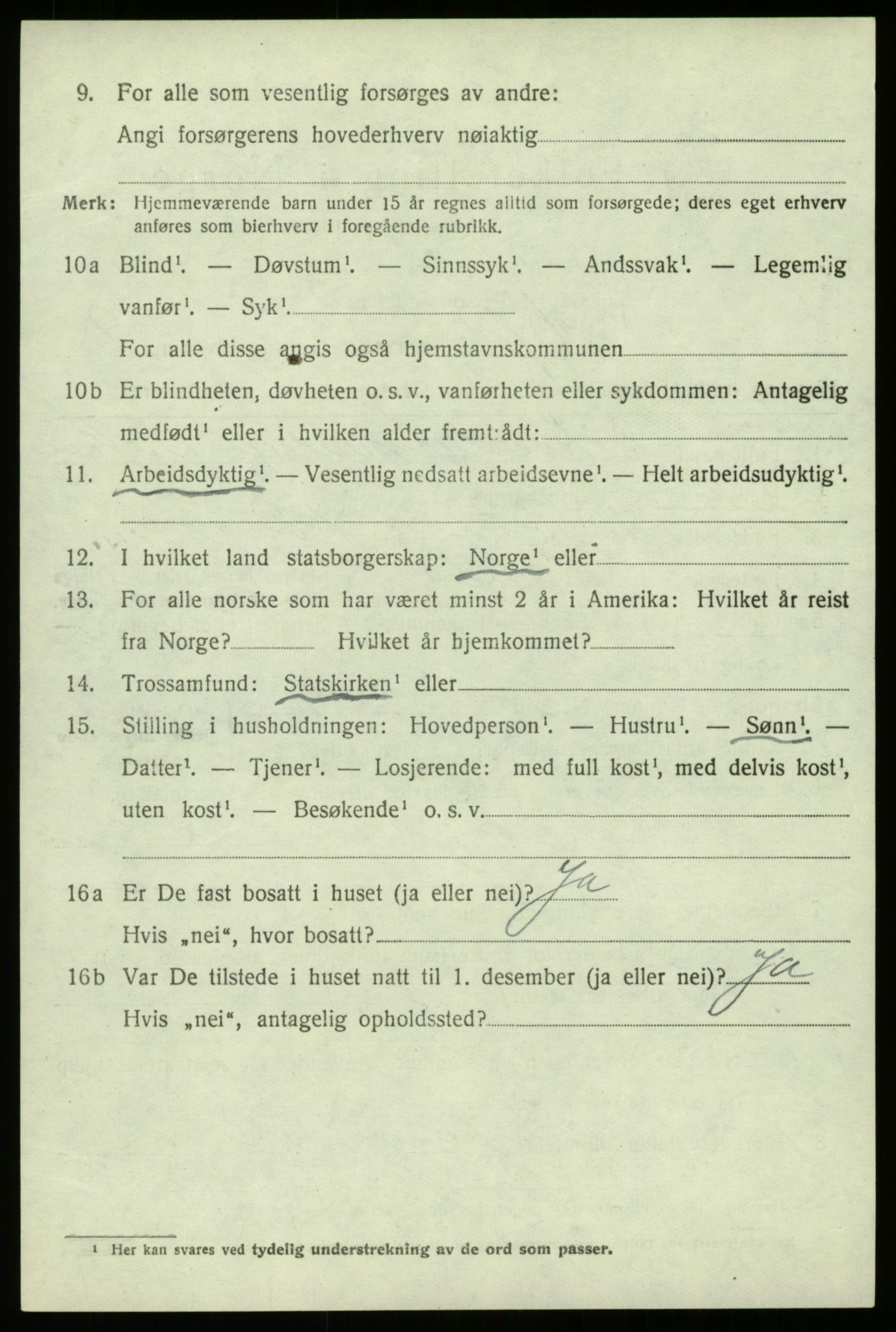 SAB, 1920 census for Hafslo, 1920, p. 6919