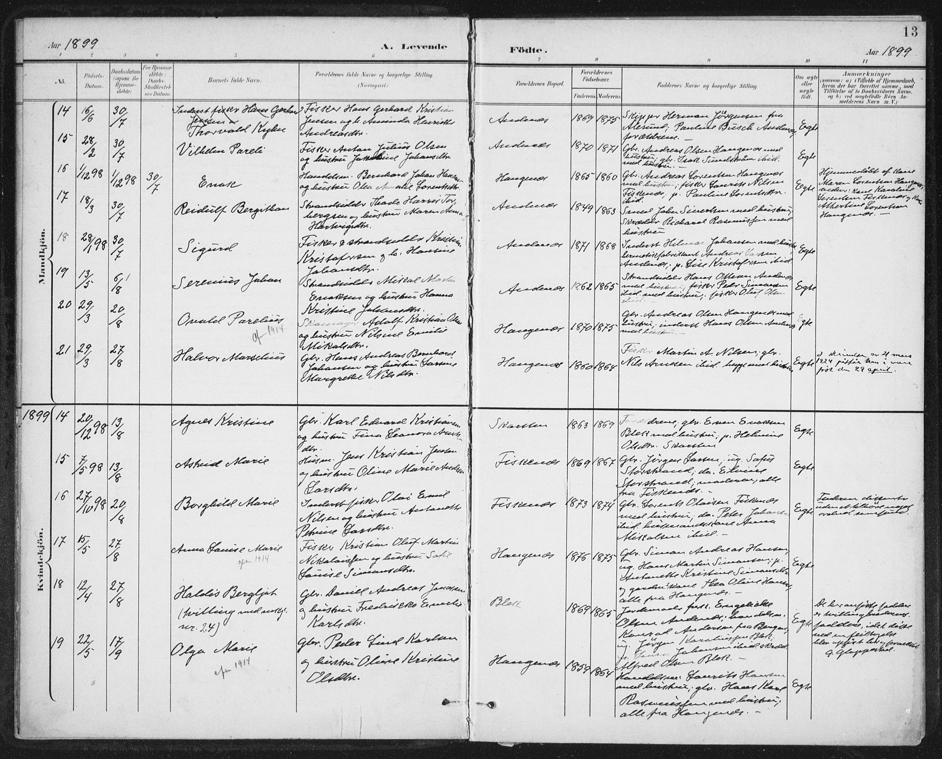 Ministerialprotokoller, klokkerbøker og fødselsregistre - Nordland, AV/SAT-A-1459/899/L1437: Parish register (official) no. 899A05, 1897-1908, p. 13