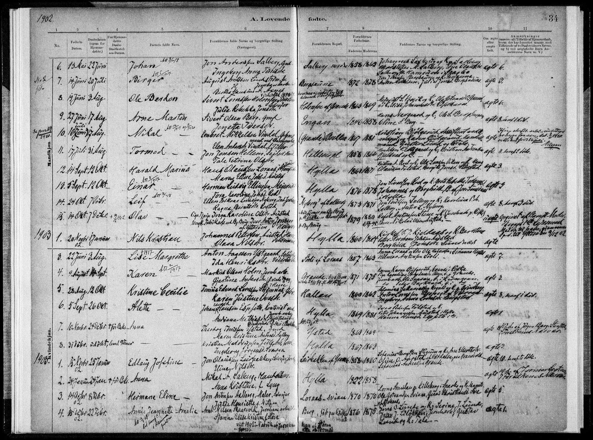 Ministerialprotokoller, klokkerbøker og fødselsregistre - Nord-Trøndelag, SAT/A-1458/731/L0309: Parish register (official) no. 731A01, 1879-1918, p. 34