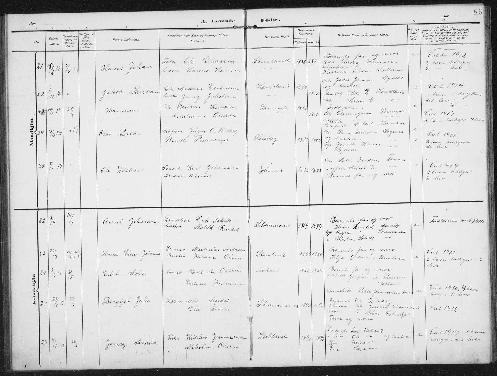 Ministerialprotokoller, klokkerbøker og fødselsregistre - Nordland, AV/SAT-A-1459/851/L0726: Parish register (copy) no. 851C01, 1902-1924, p. 85