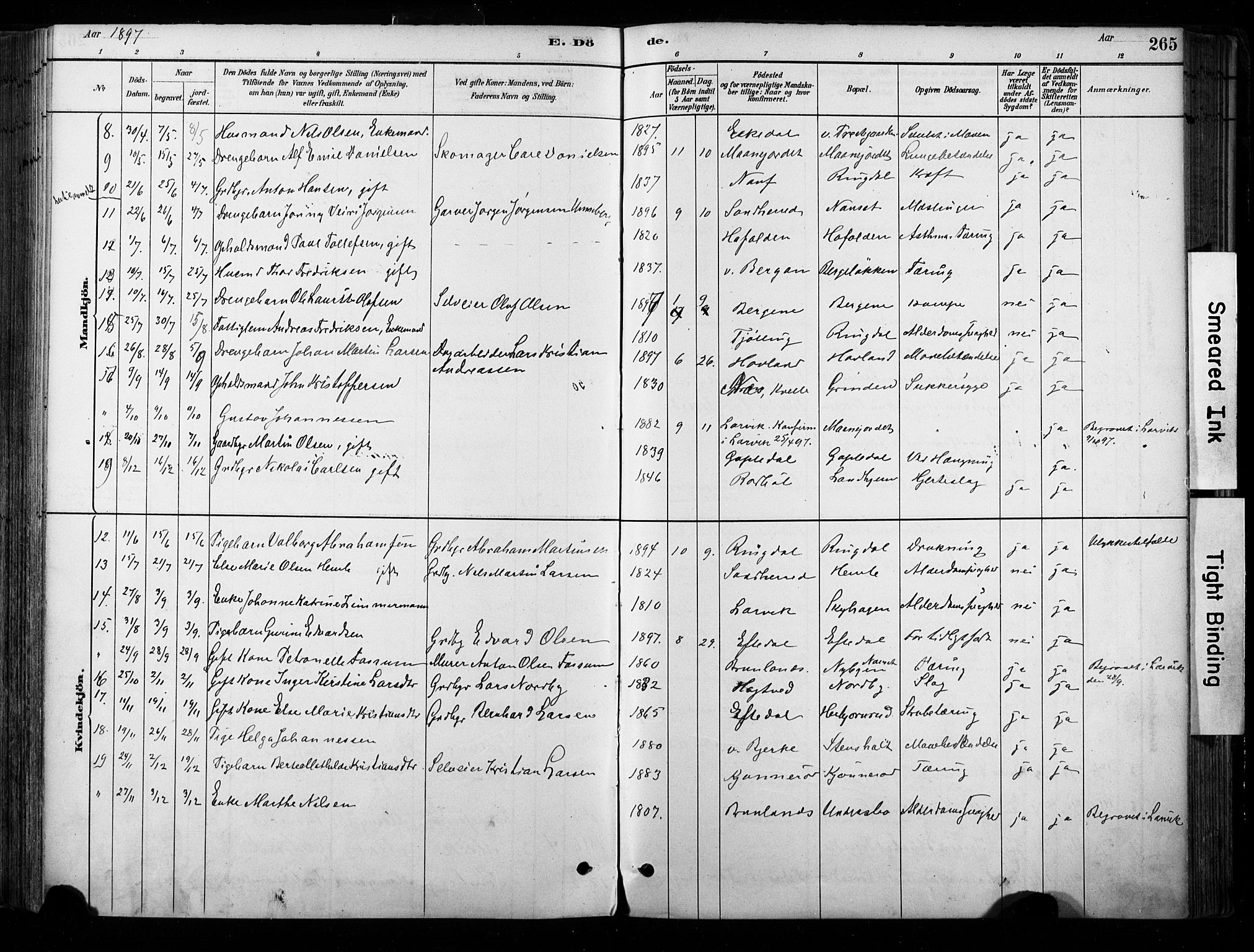 Hedrum kirkebøker, AV/SAKO-A-344/F/Fa/L0009: Parish register (official) no. I 9, 1881-1903, p. 265