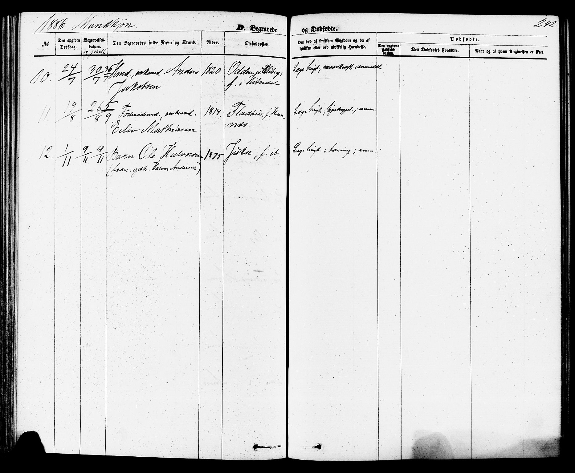 Sauherad kirkebøker, SAKO/A-298/F/Fa/L0008: Parish register (official) no. I 8, 1873-1886, p. 242