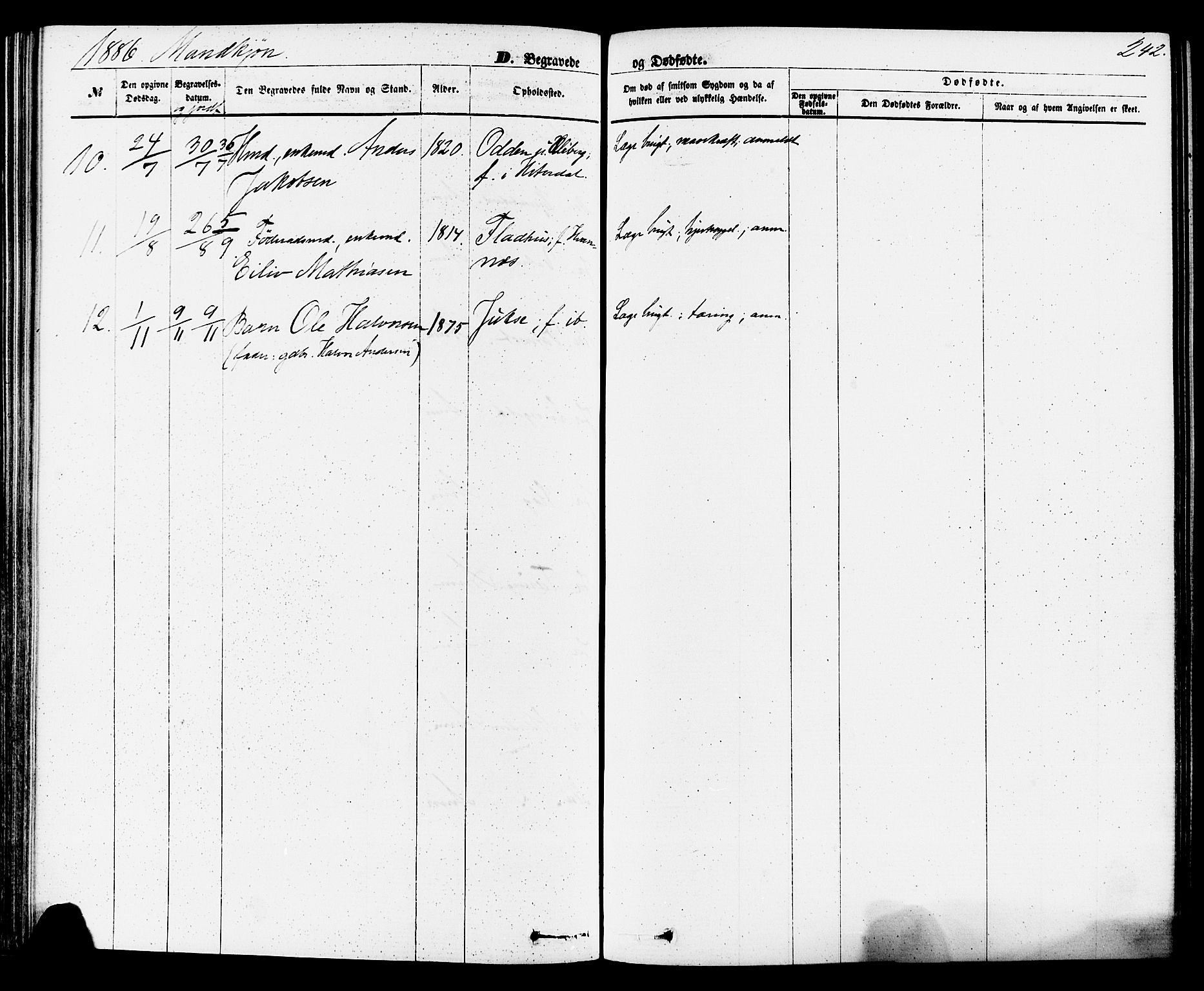 Sauherad kirkebøker, AV/SAKO-A-298/F/Fa/L0008: Parish register (official) no. I 8, 1873-1886, p. 242