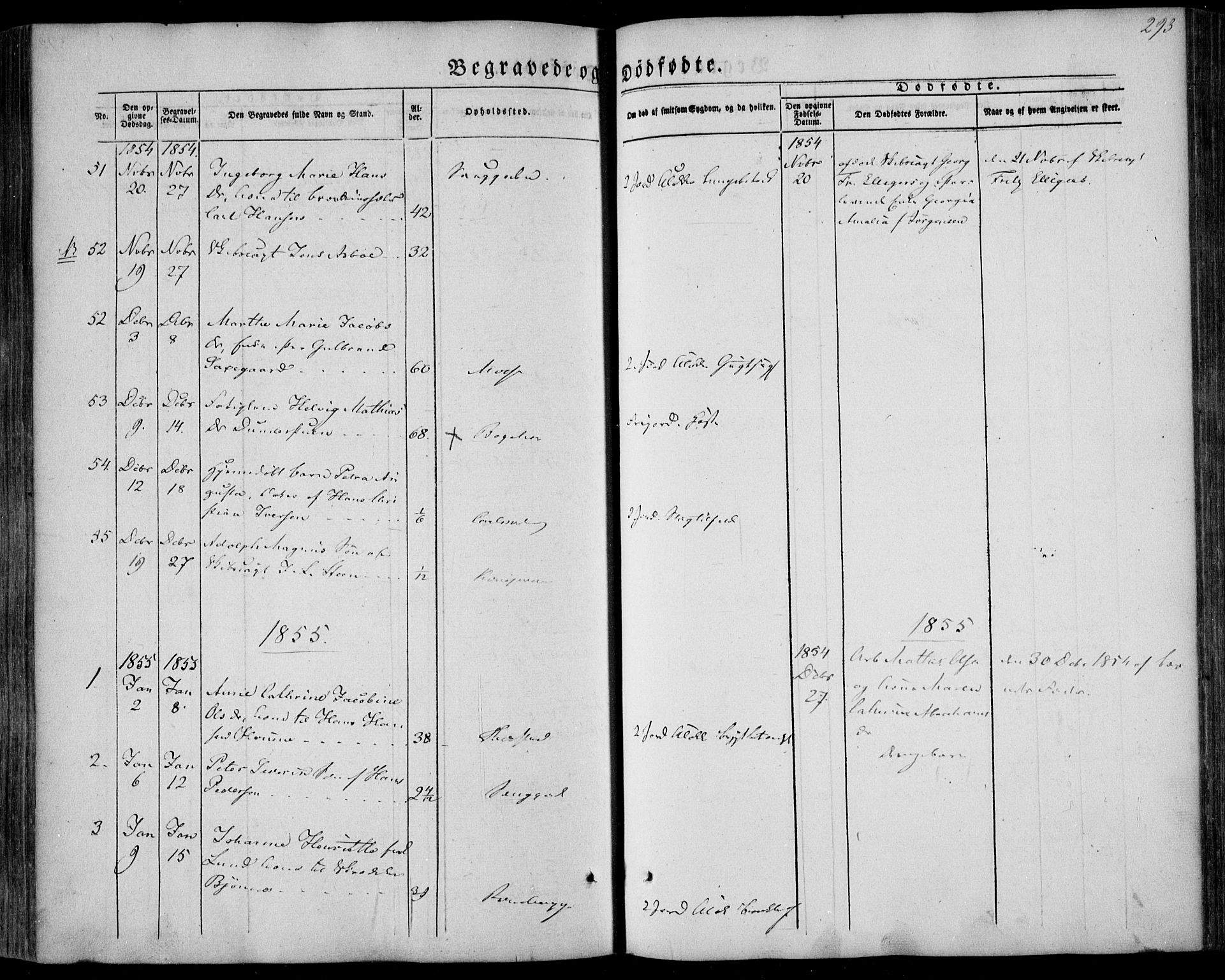 Larvik kirkebøker, SAKO/A-352/F/Fa/L0003: Parish register (official) no. I 3, 1848-1856, p. 293
