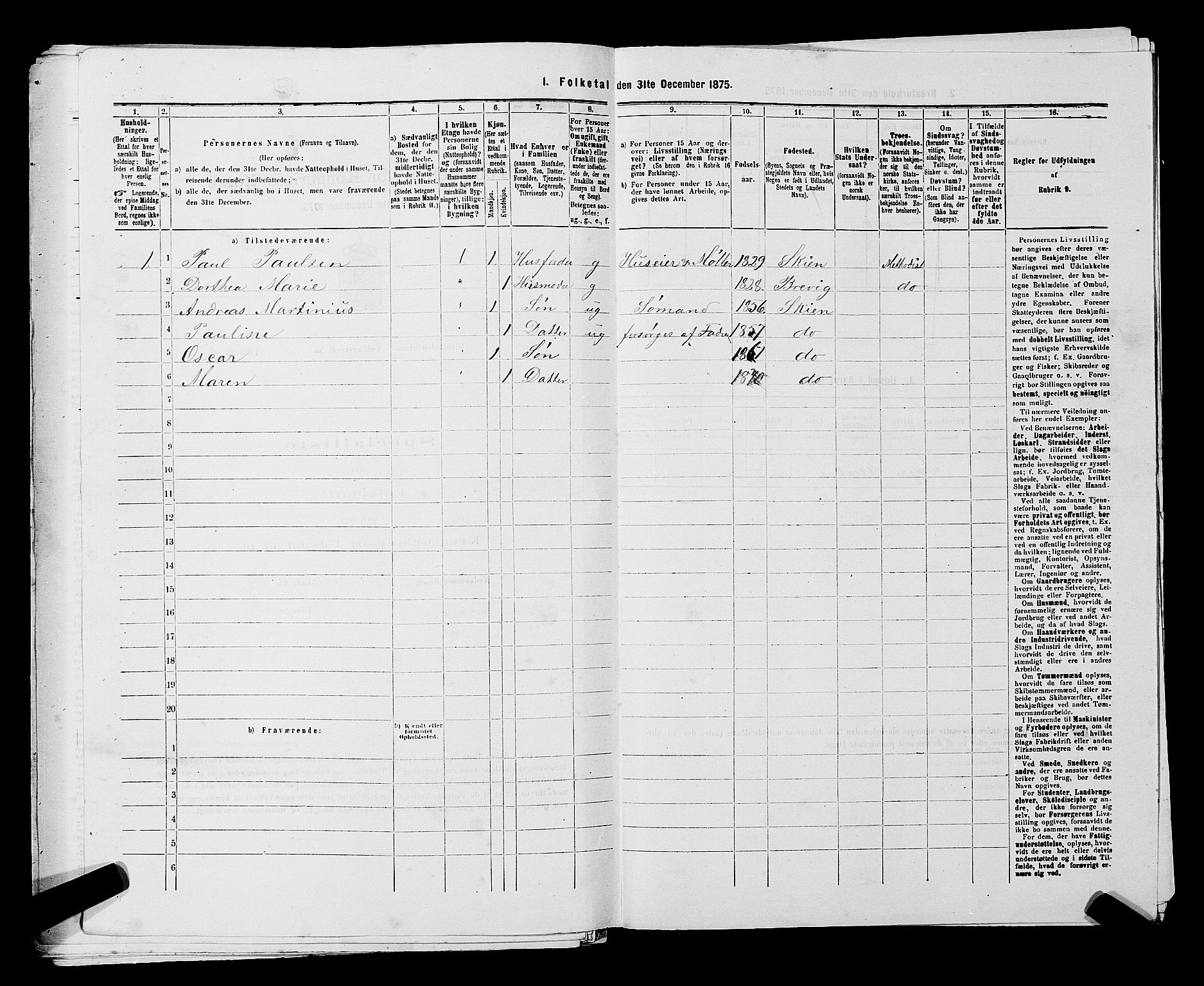 SAKO, 1875 census for 0806P Skien, 1875, p. 238