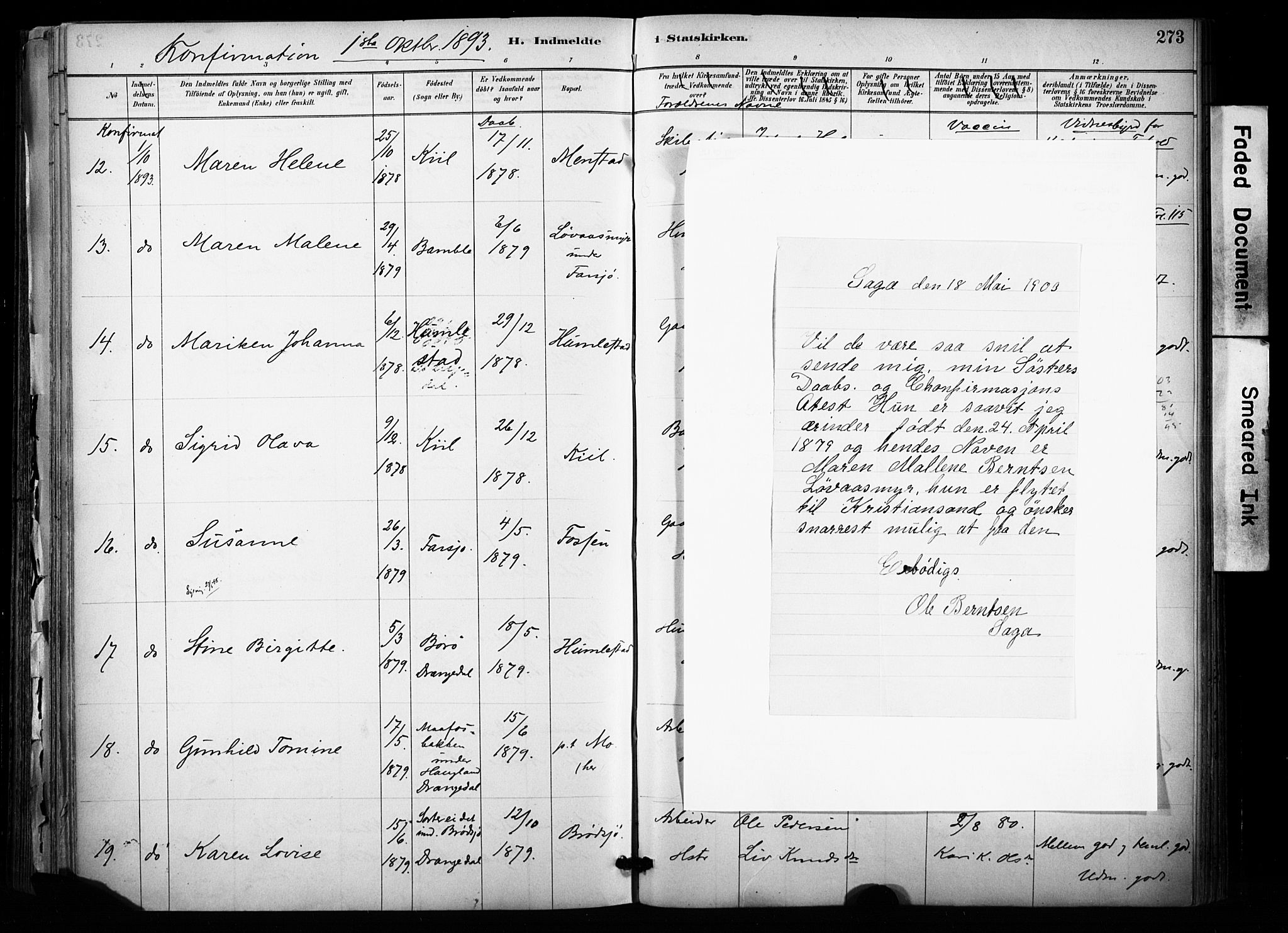 Sannidal kirkebøker, SAKO/A-296/F/Fa/L0015: Parish register (official) no. 15, 1884-1899, p. 273