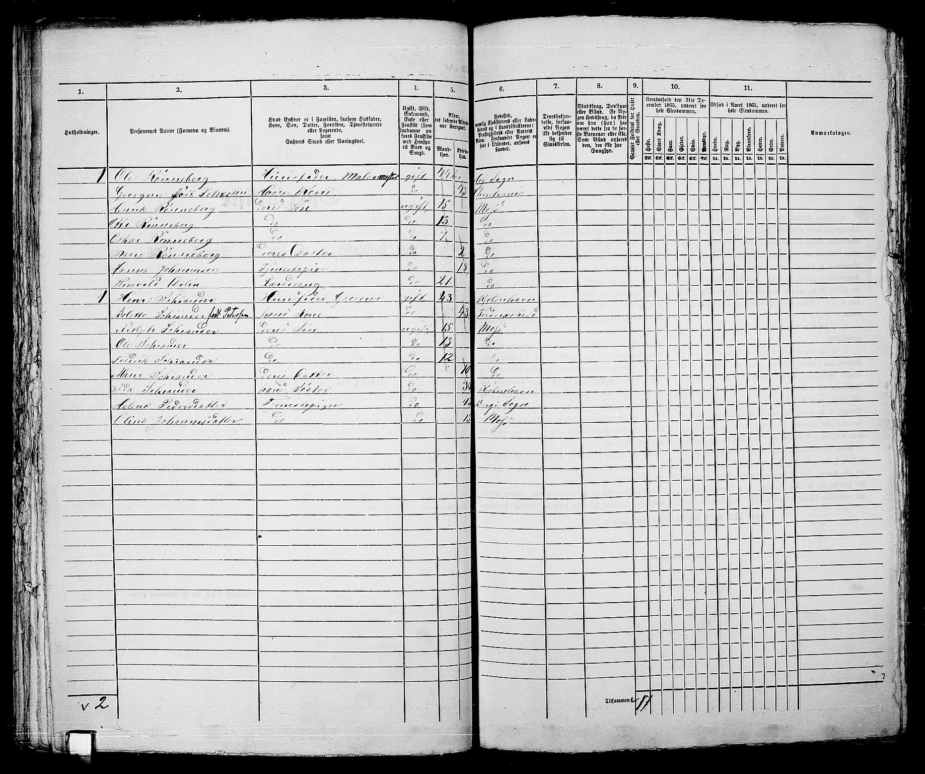RA, 1865 census for Moss/Moss, 1865, p. 463