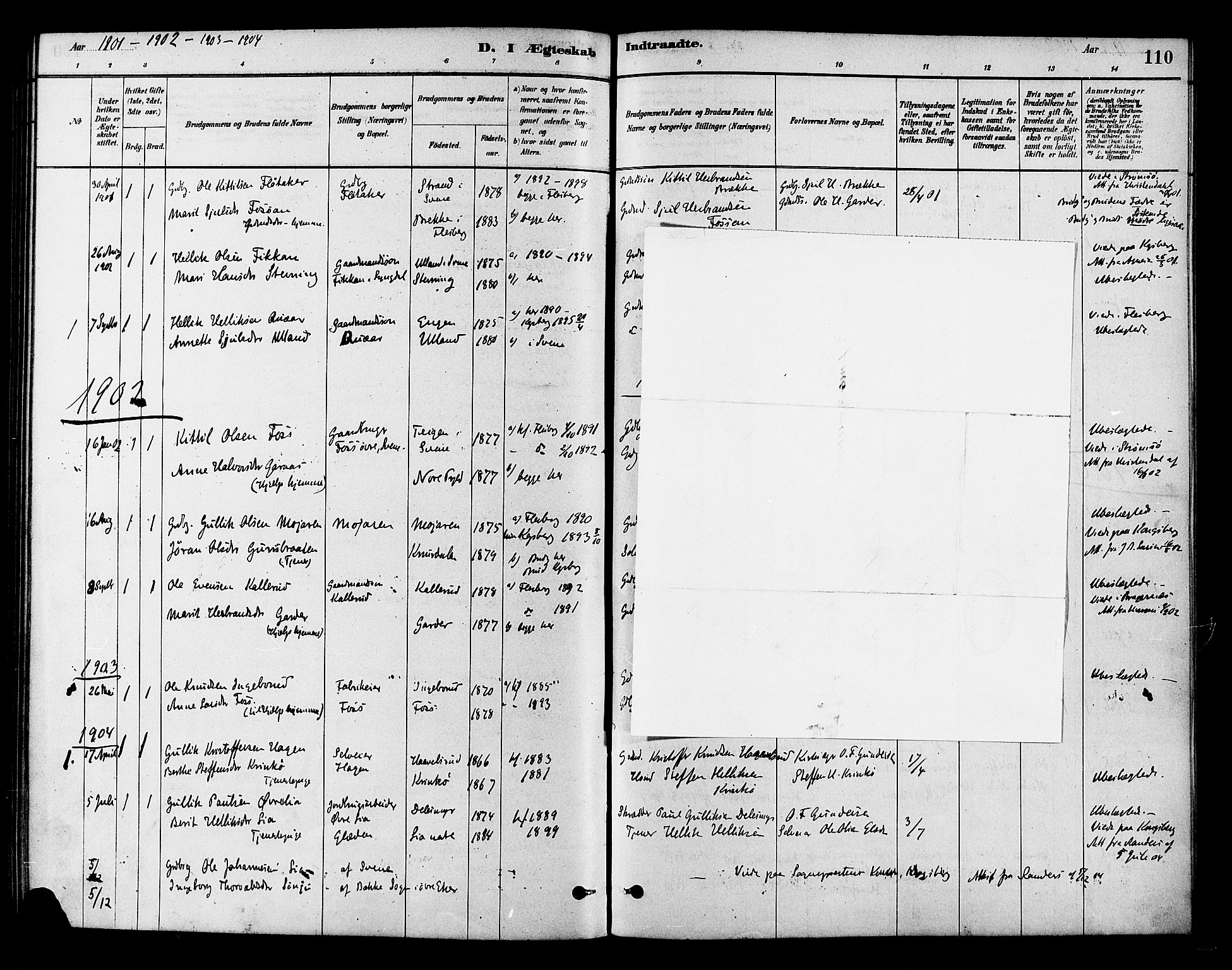 Flesberg kirkebøker, AV/SAKO-A-18/F/Fb/L0001: Parish register (official) no. II 1, 1879-1907, p. 110