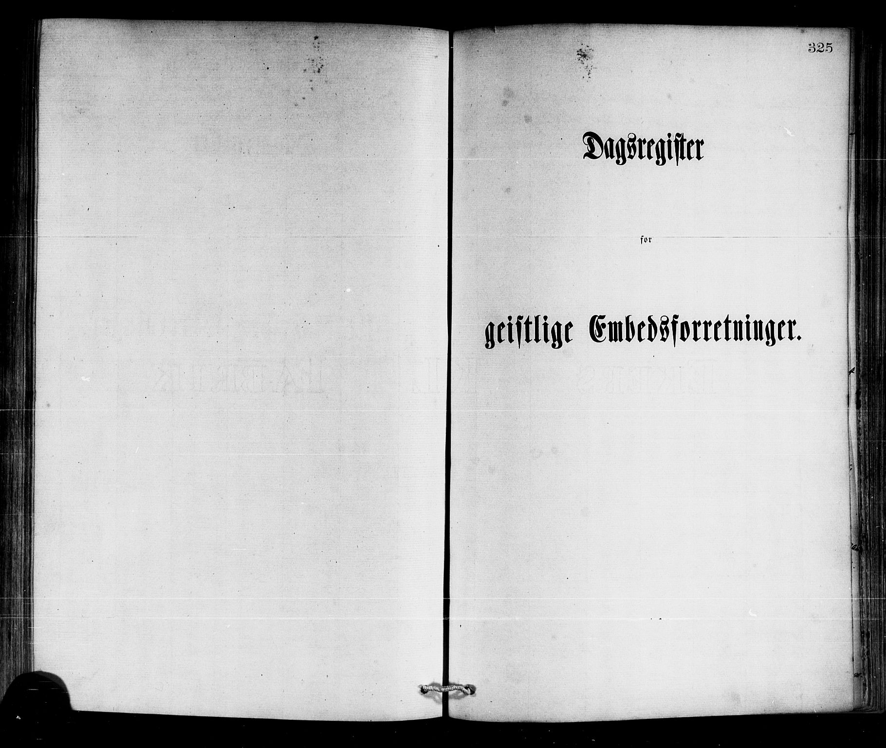 Selje sokneprestembete, SAB/A-99938/H/Ha/Haa/Haaa: Parish register (official) no. A 12, 1870-1880, p. 325