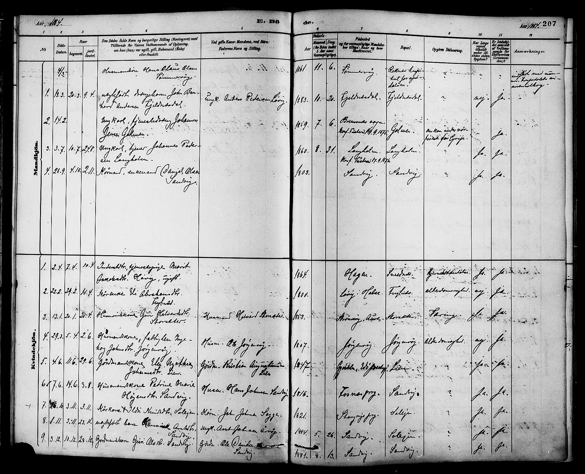 Ministerialprotokoller, klokkerbøker og fødselsregistre - Møre og Romsdal, AV/SAT-A-1454/577/L0896: Parish register (official) no. 577A03, 1880-1898, p. 207