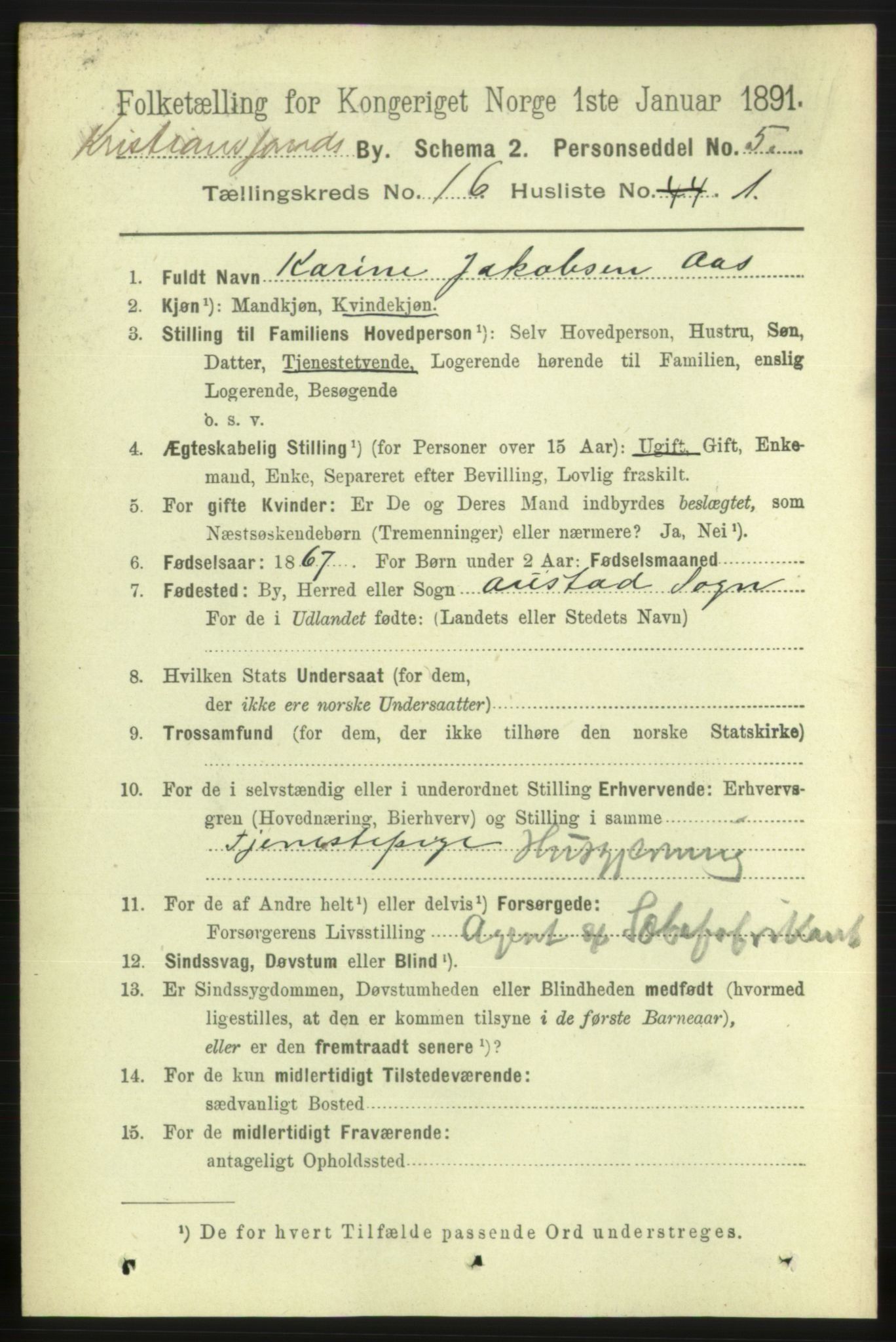 RA, 1891 census for 1001 Kristiansand, 1891, p. 6410