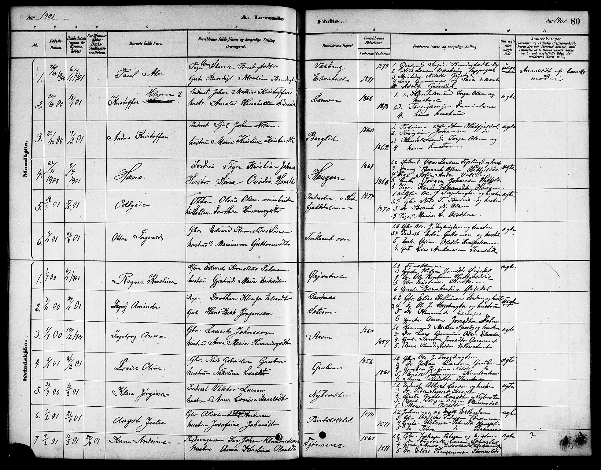 Ministerialprotokoller, klokkerbøker og fødselsregistre - Nordland, SAT/A-1459/823/L0330: Parish register (copy) no. 823C02, 1879-1916, p. 80