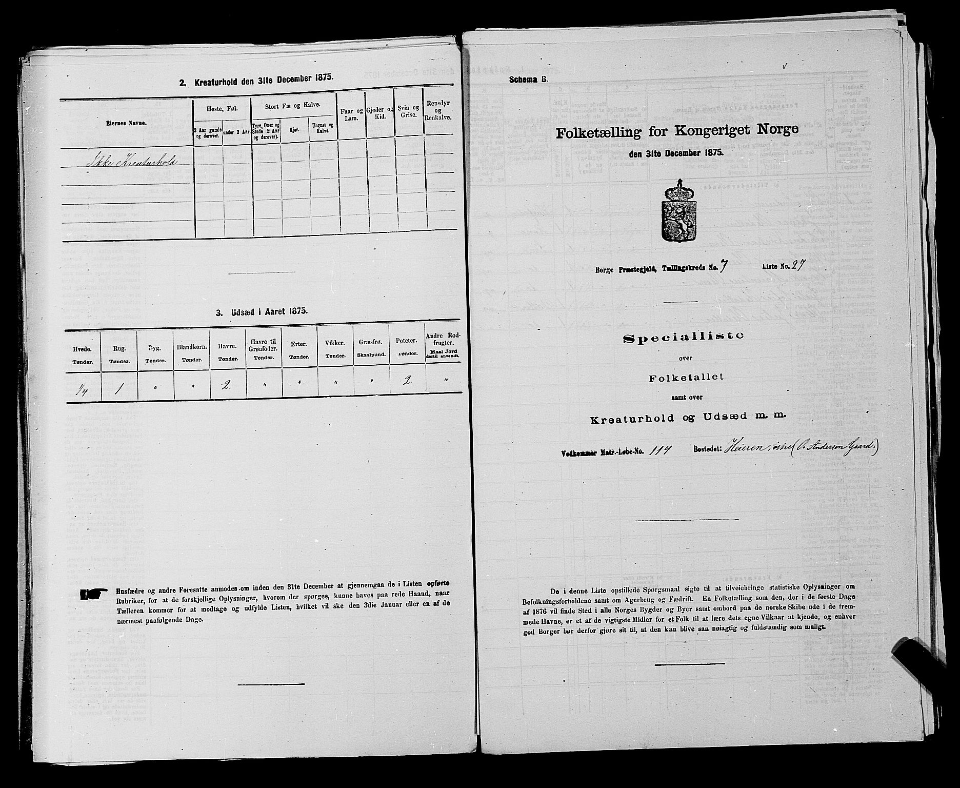 RA, 1875 census for 0113P Borge, 1875, p. 993