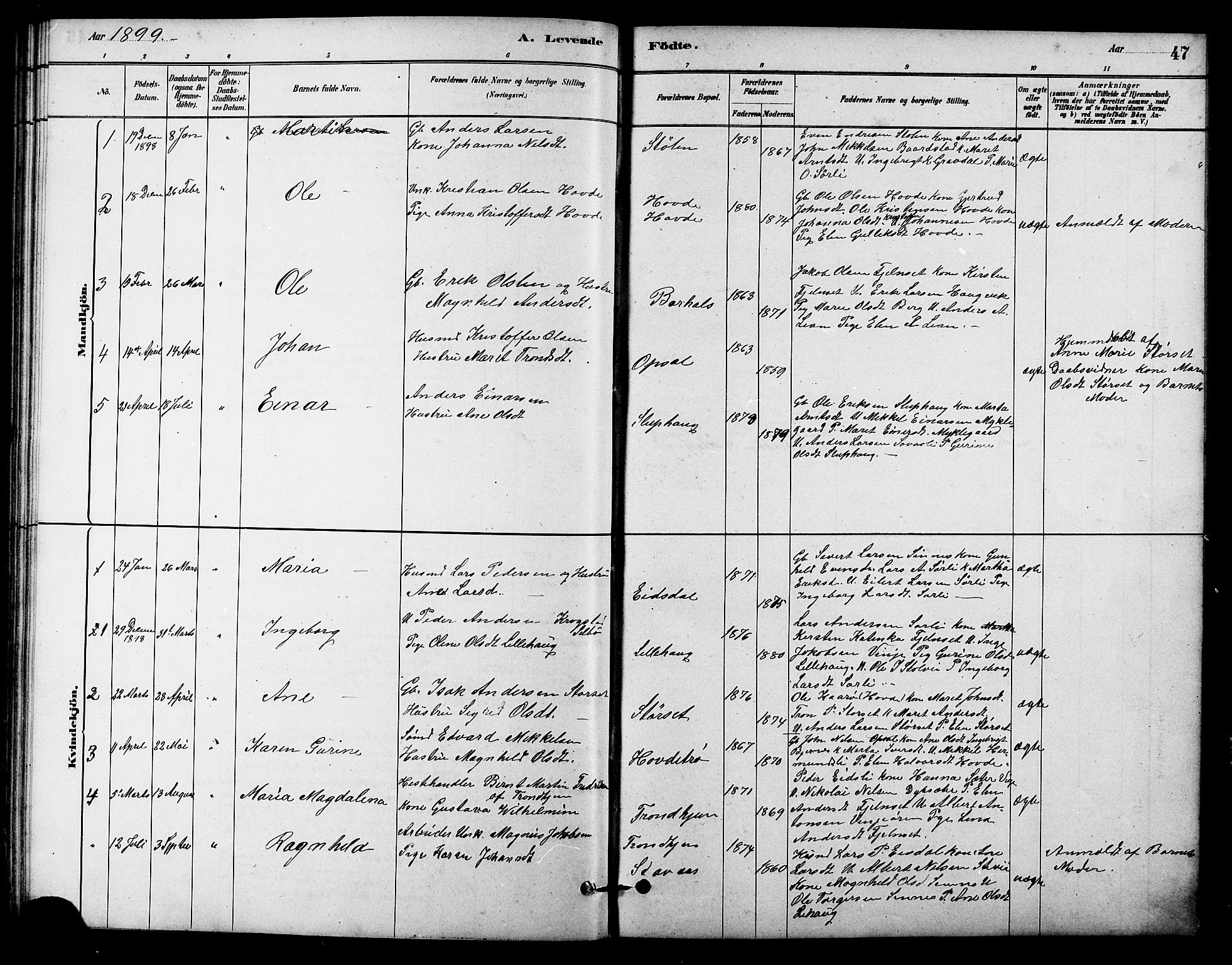 Ministerialprotokoller, klokkerbøker og fødselsregistre - Sør-Trøndelag, AV/SAT-A-1456/631/L0514: Parish register (copy) no. 631C02, 1879-1912, p. 47