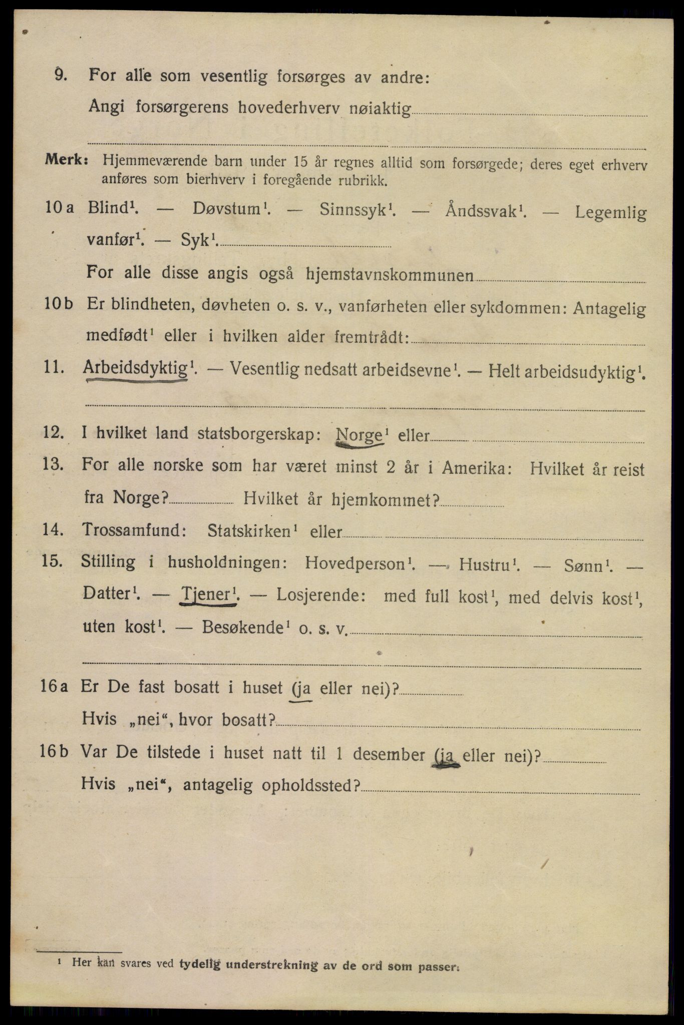 SAKO, 1920 census for Larvik, 1920, p. 10329