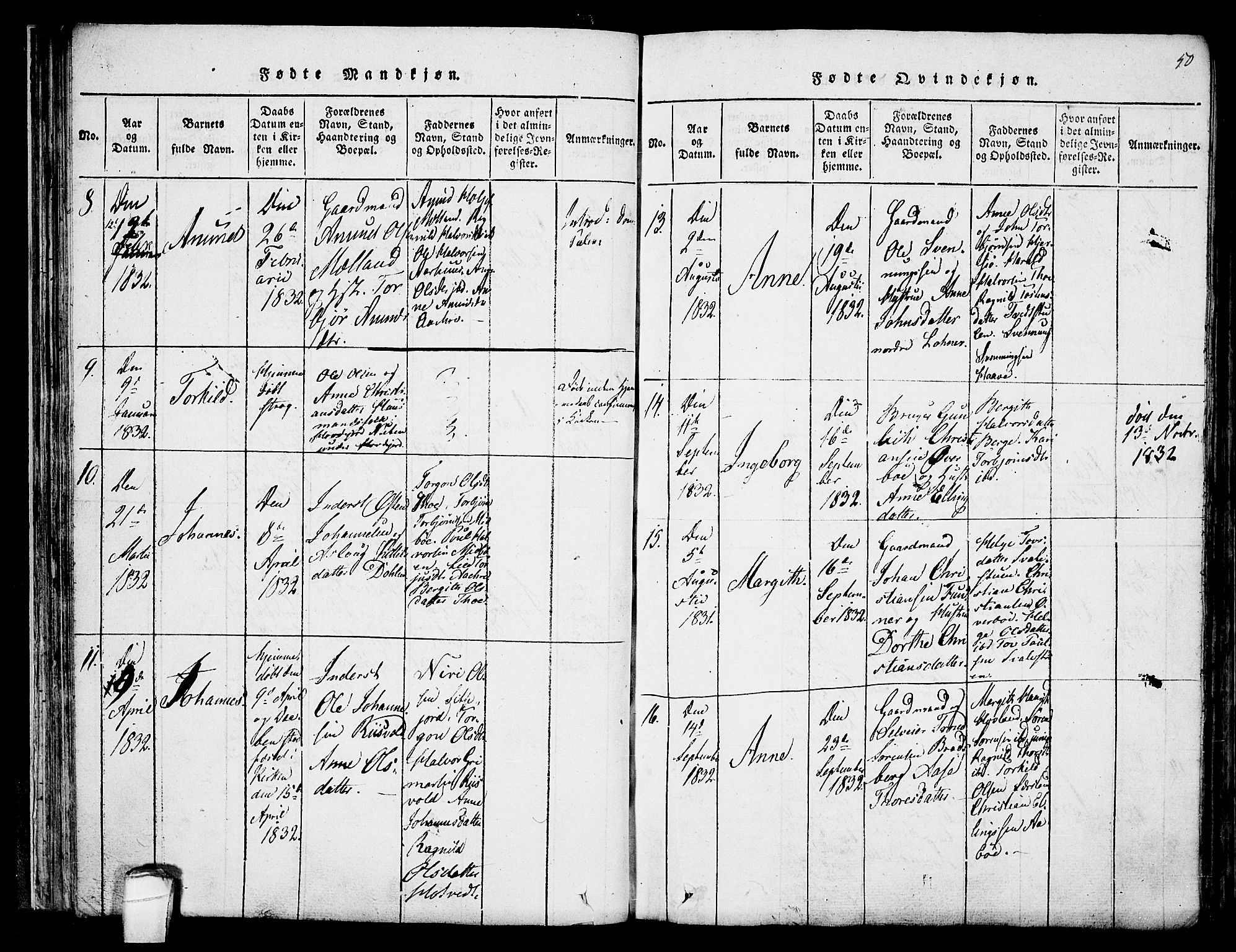 Hjartdal kirkebøker, AV/SAKO-A-270/F/Fa/L0007: Parish register (official) no. I 7, 1815-1843, p. 50