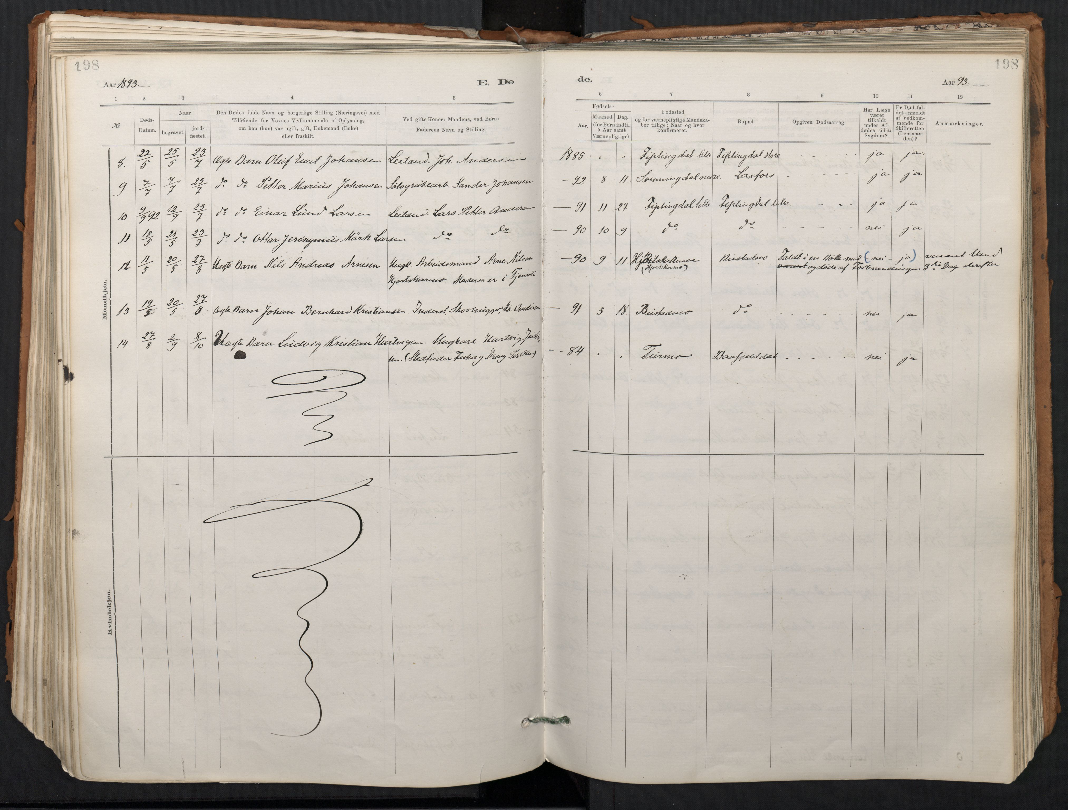 Ministerialprotokoller, klokkerbøker og fødselsregistre - Nordland, SAT/A-1459/824/L0338: Parish register (official) no. 824A01, 1880-1915, p. 198