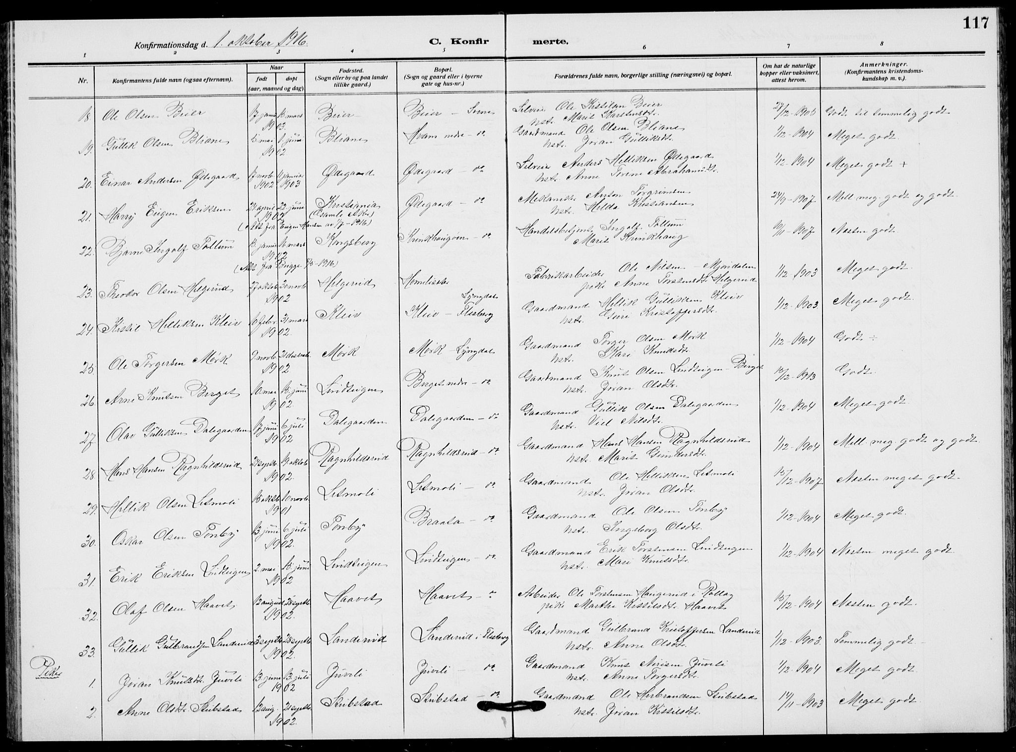 Flesberg kirkebøker, AV/SAKO-A-18/G/Ga/L0006: Parish register (copy) no. I 6, 1909-1924, p. 117