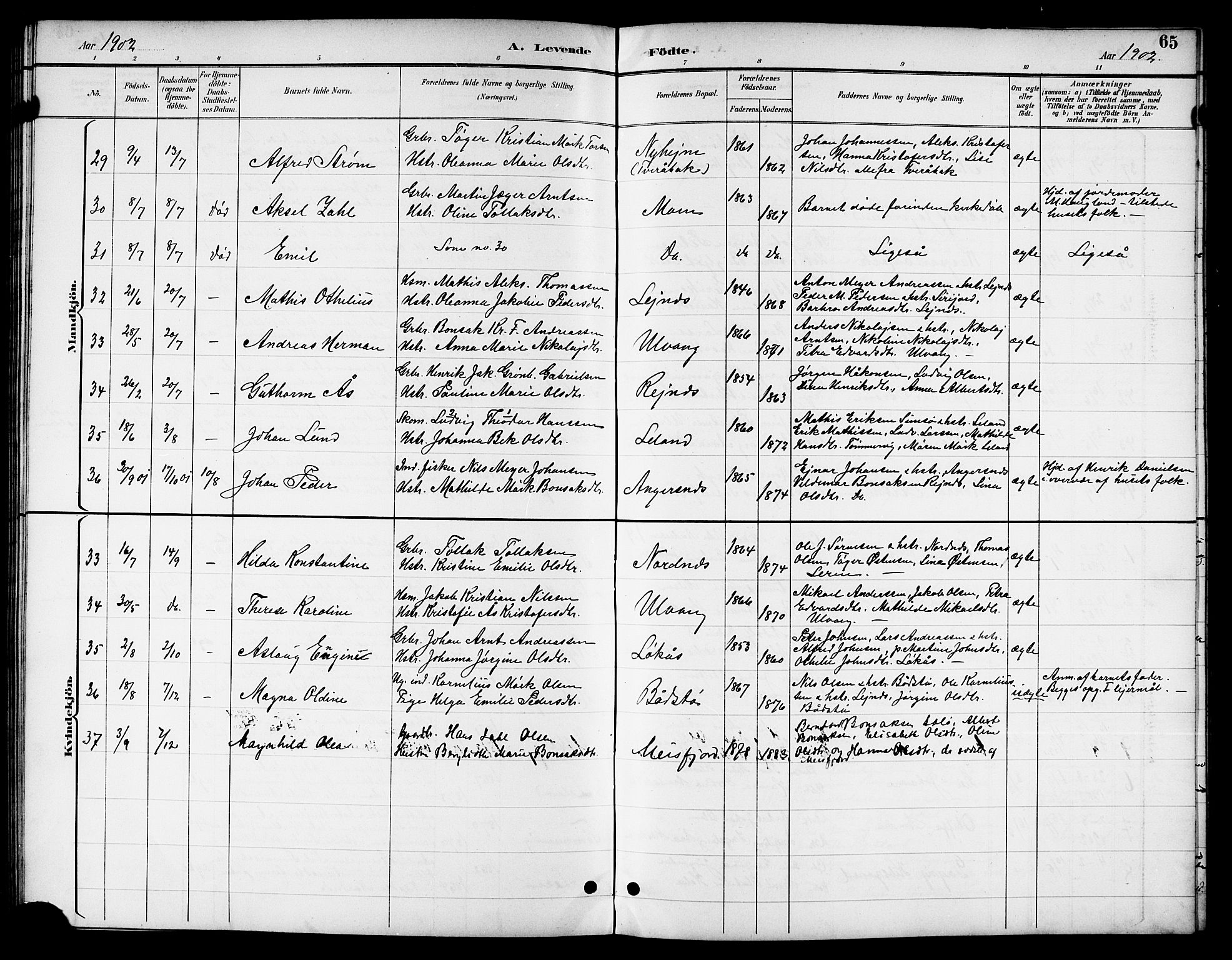 Ministerialprotokoller, klokkerbøker og fødselsregistre - Nordland, SAT/A-1459/831/L0478: Parish register (copy) no. 831C05, 1892-1909, p. 65
