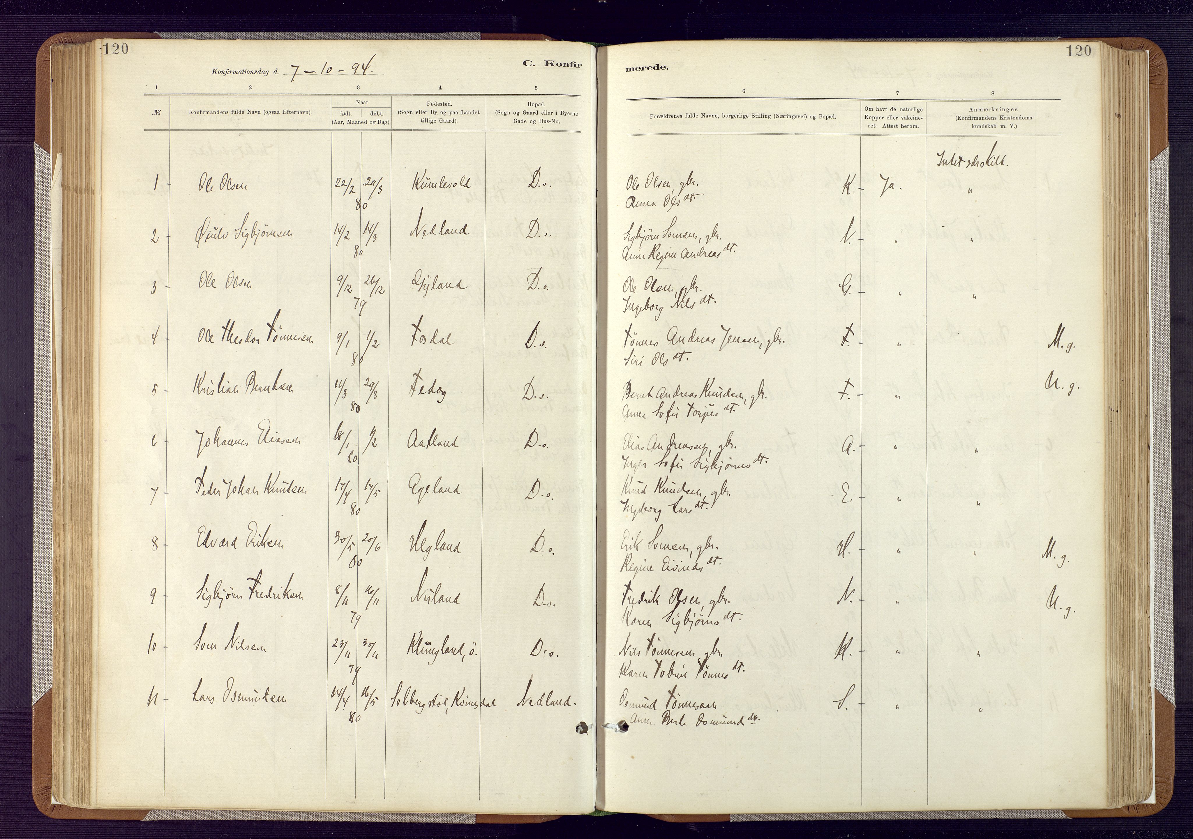 Bakke sokneprestkontor, AV/SAK-1111-0002/F/Fa/Fab/L0003: Parish register (official) no. A 3, 1884-1921, p. 120