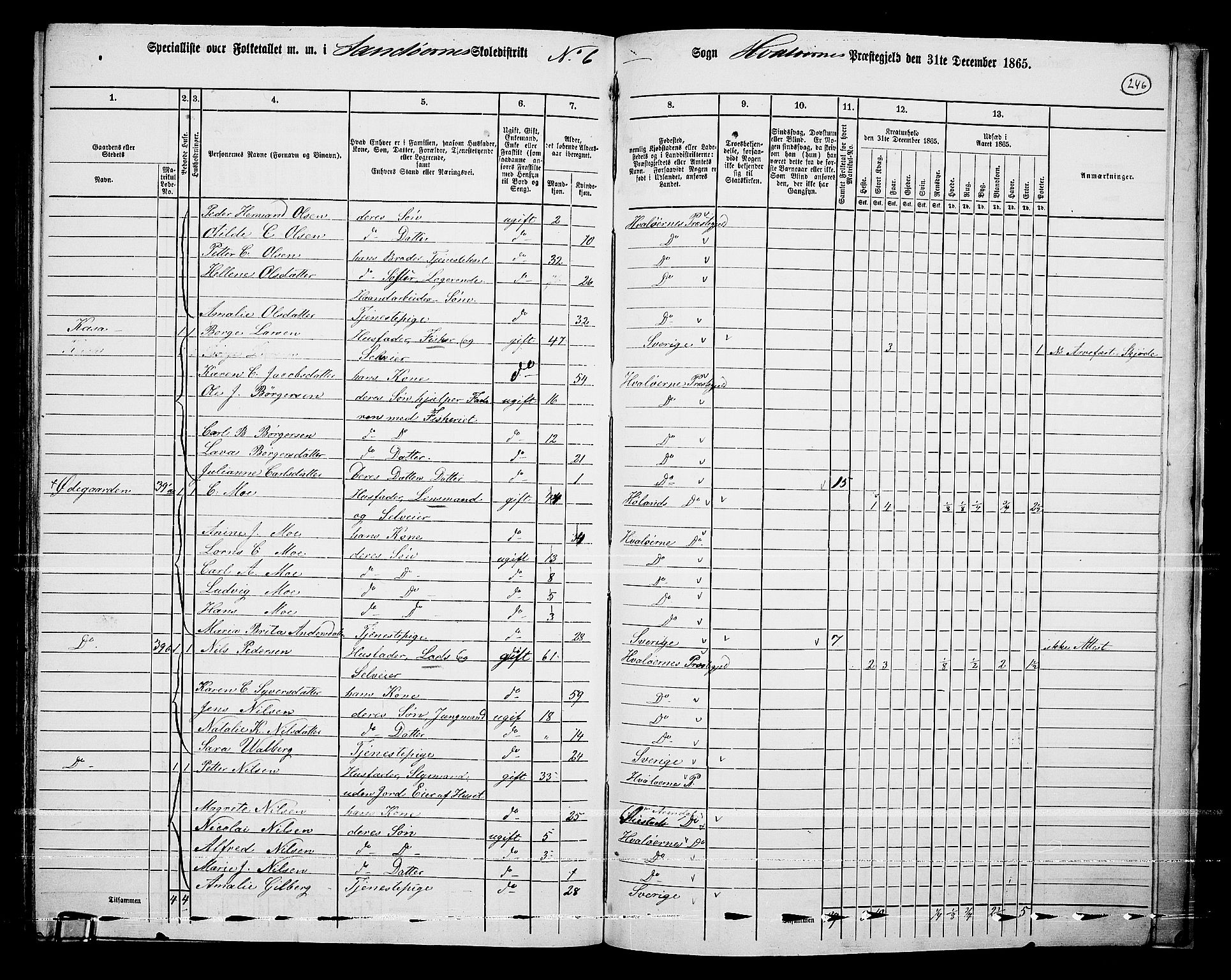 RA, 1865 census for Hvaler, 1865, p. 80