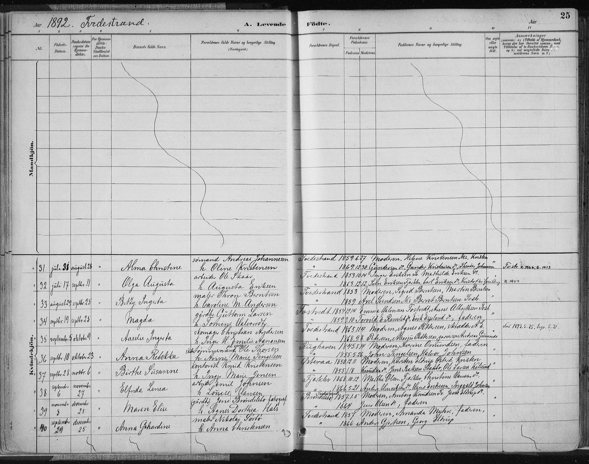 Tvedestrand sokneprestkontor, AV/SAK-1111-0042/F/Fa/L0001: Parish register (official) no. A 1, 1885-1916, p. 25