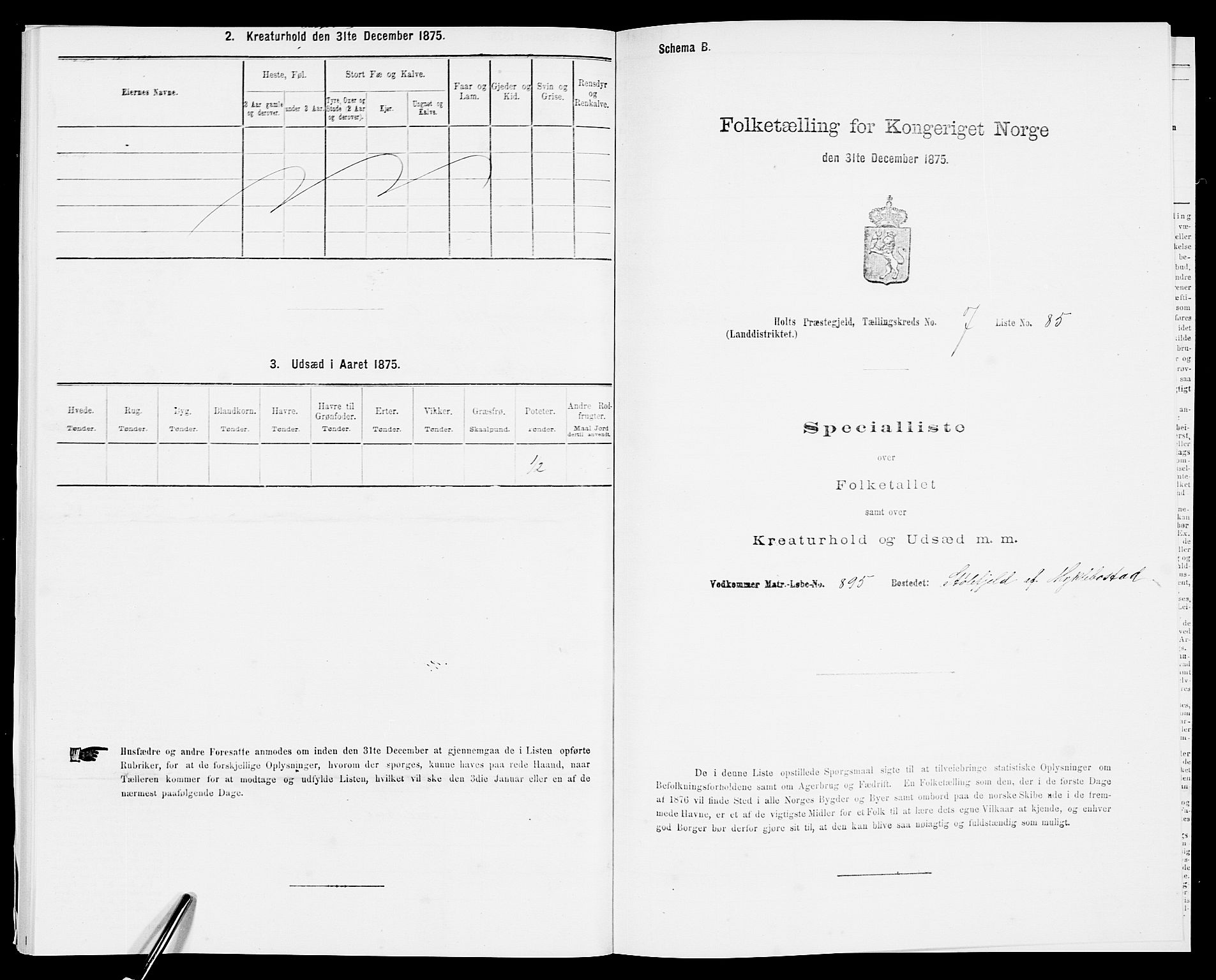 SAK, 1875 census for 0914L Holt/Holt, 1875, p. 951