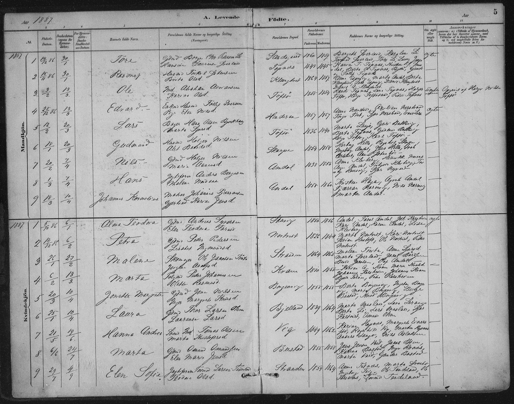 Nedstrand sokneprestkontor, SAST/A-101841/01/IV: Parish register (official) no. A 12, 1887-1915, p. 5